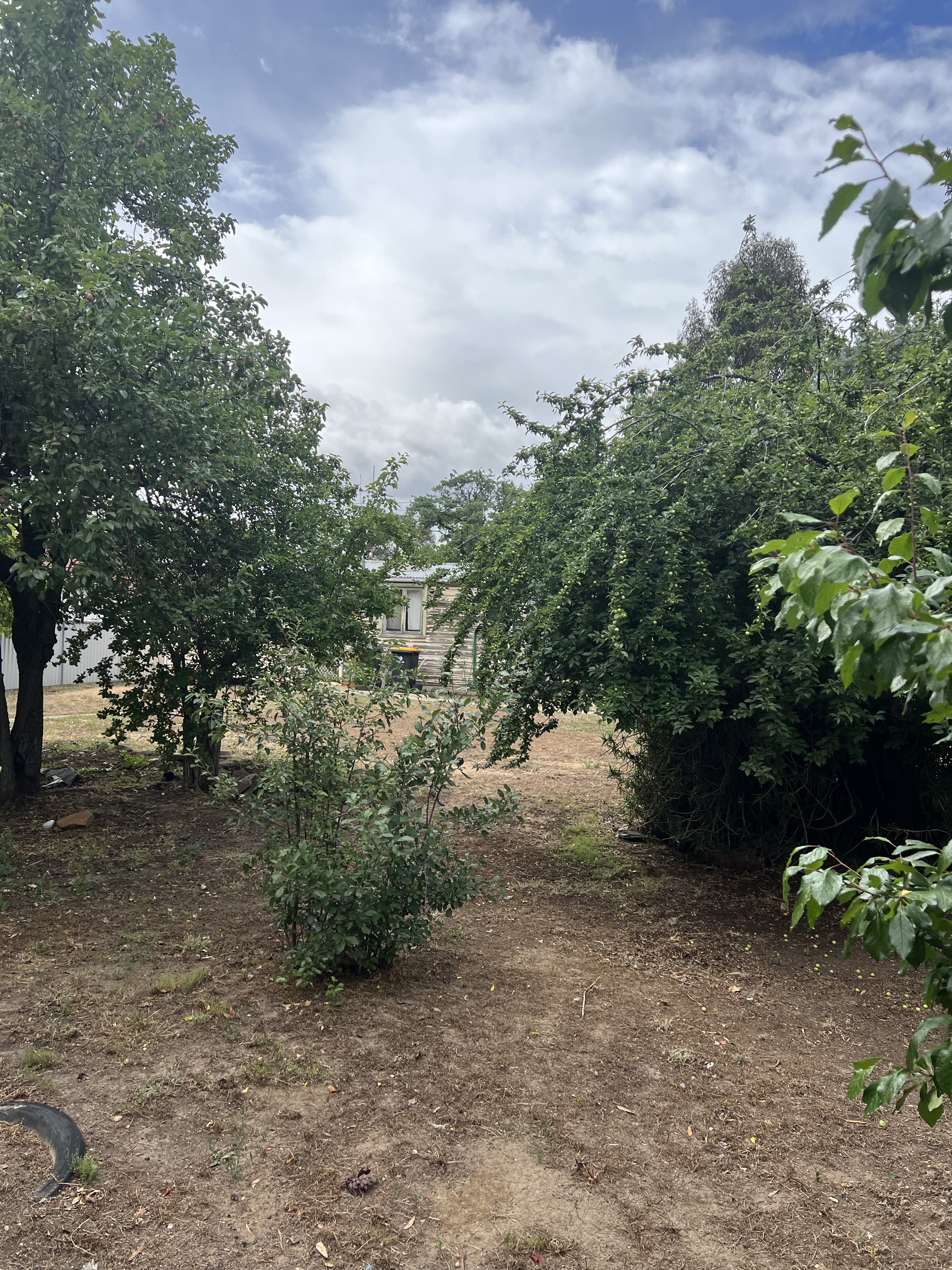 21 Louden St, California Gully, Vic, 3556 - Image 3