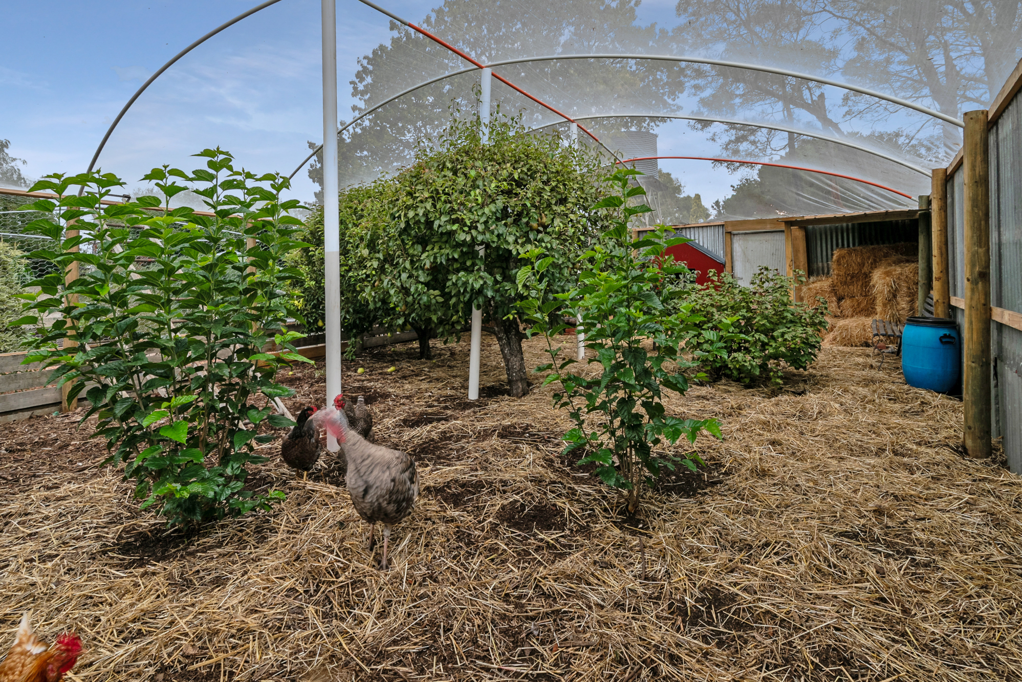 5-bedroom house at 1 Tucker Street, Malmsbury, VIC 3446, Macedon Ranges, Victoria