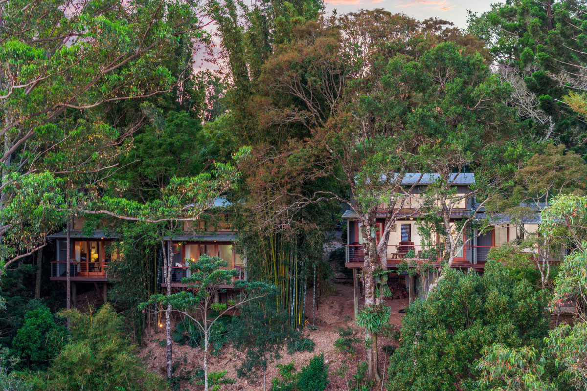 226 OBI OBI ROAD, Mapleton QLD 4560 - Image 3