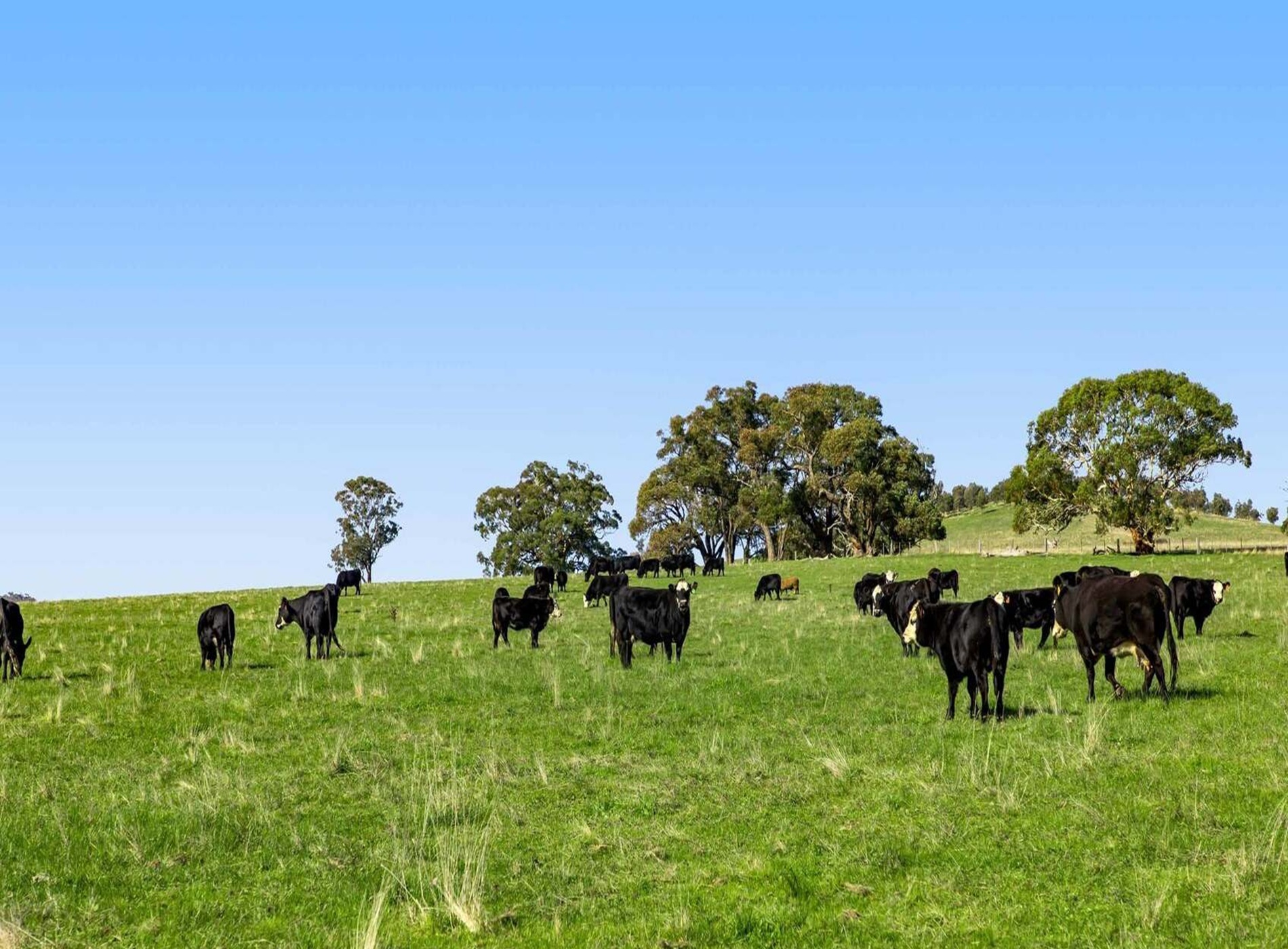 1-bedroom unit at 940 Ballarat-Carngham Road, Cardigan, VIC 3352, Ballarat, Victoria