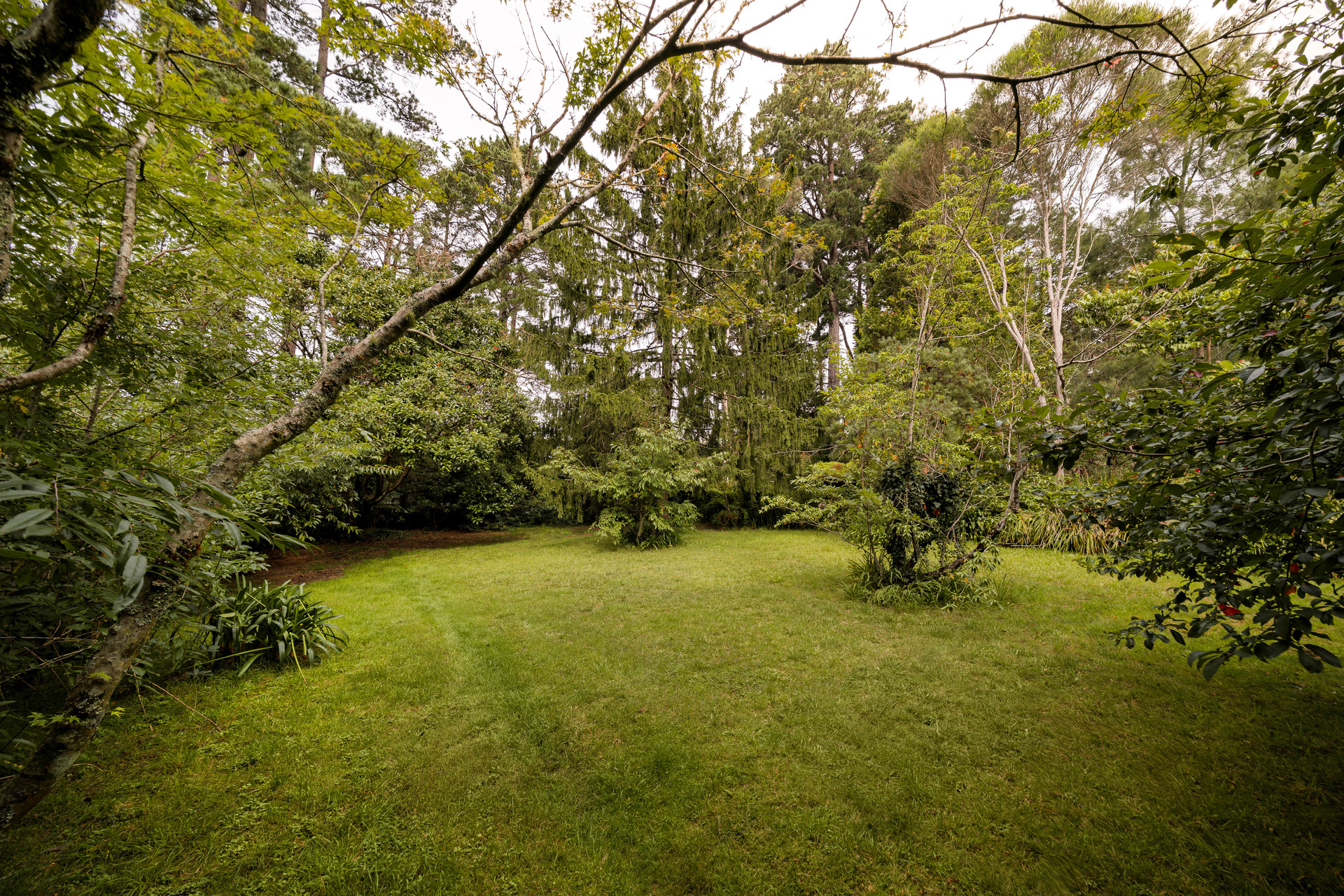 58 BALMORAL ROAD, Leura NSW 2780 - Image 3
