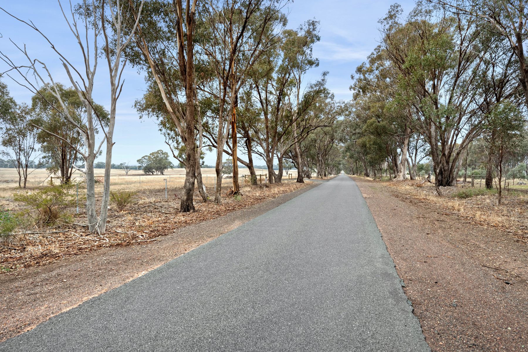247 Pethericks Road, Goornong, Vic, 3557 - Image 6
