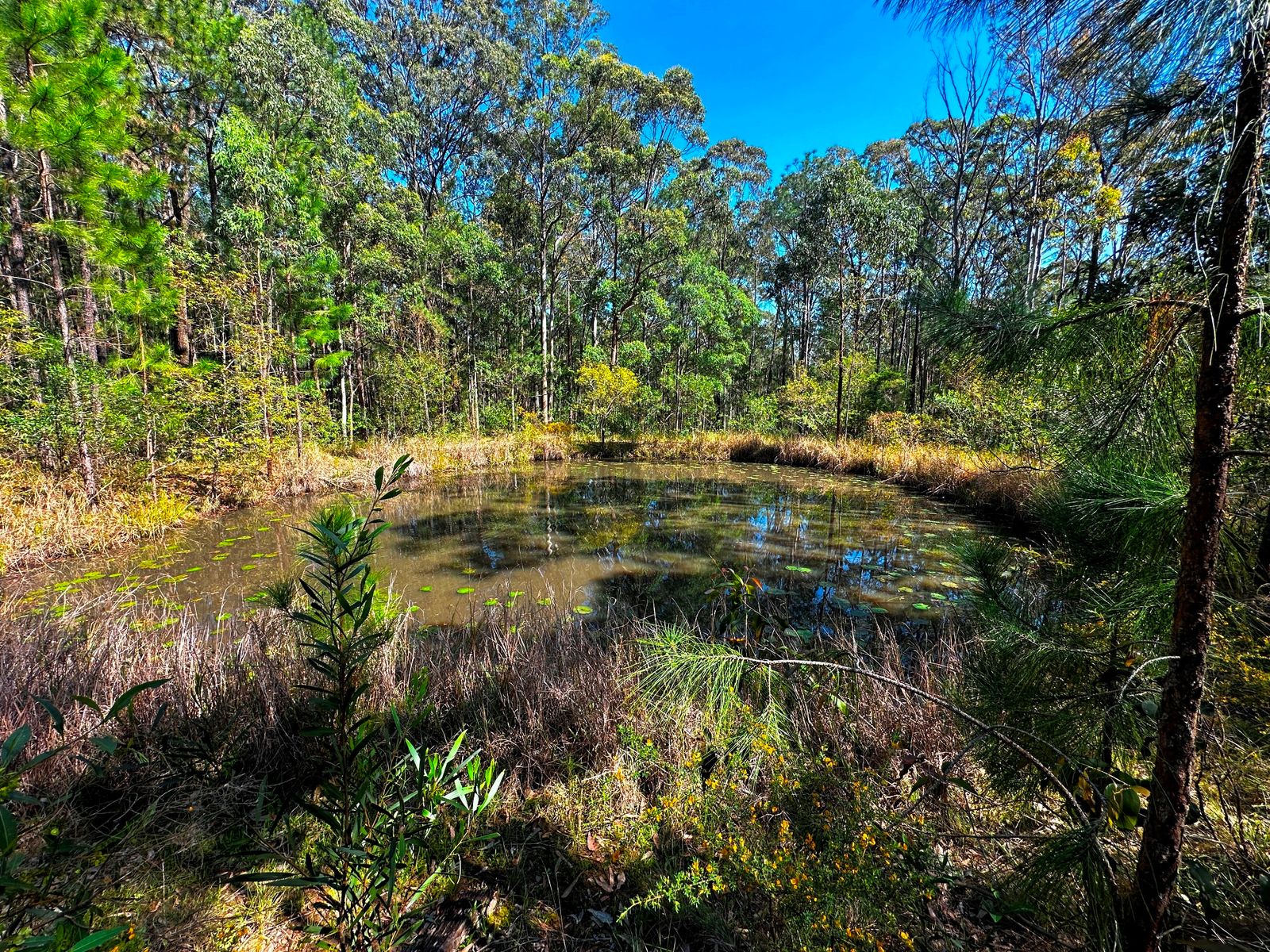 88 Clarke Street, Pindimar, Nsw, 2324 - Image 5