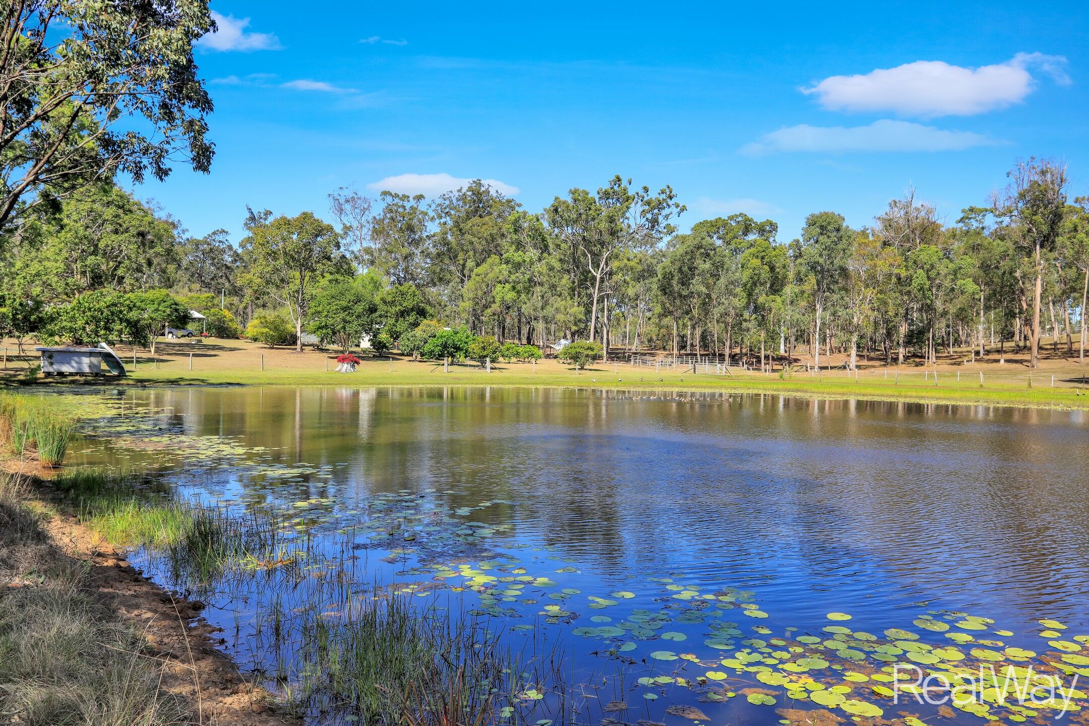 105 Reads Road, Bucca, QLD 4670 - Image 1