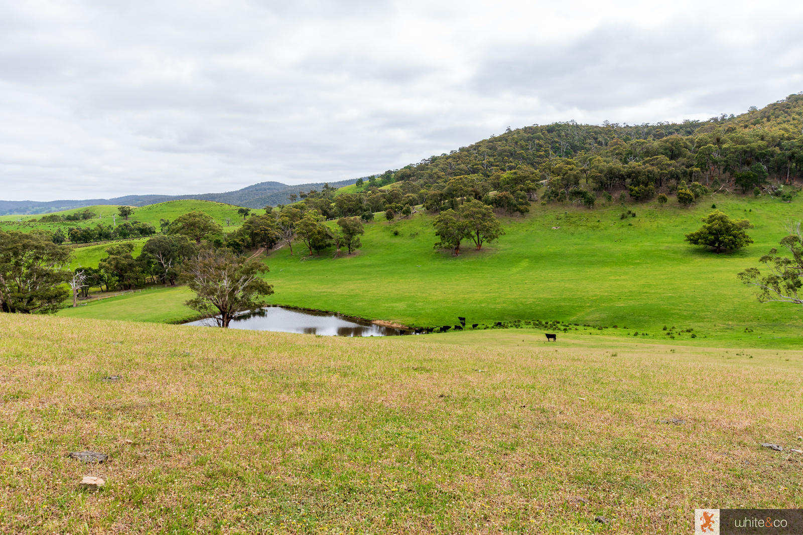 210 Dalls Road, Whittlesea, Vic, 3757 - Image 1