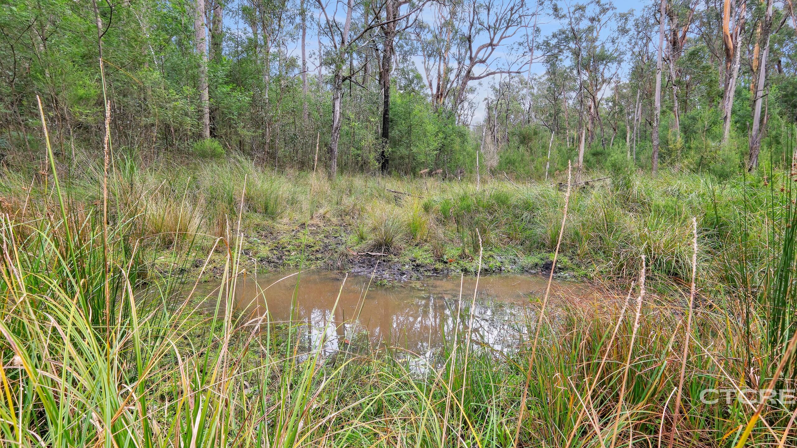2-bedroom house at 1664 Wangarabell Road, Wangarabell, Vic, 3891, East Gippsland, Victoria