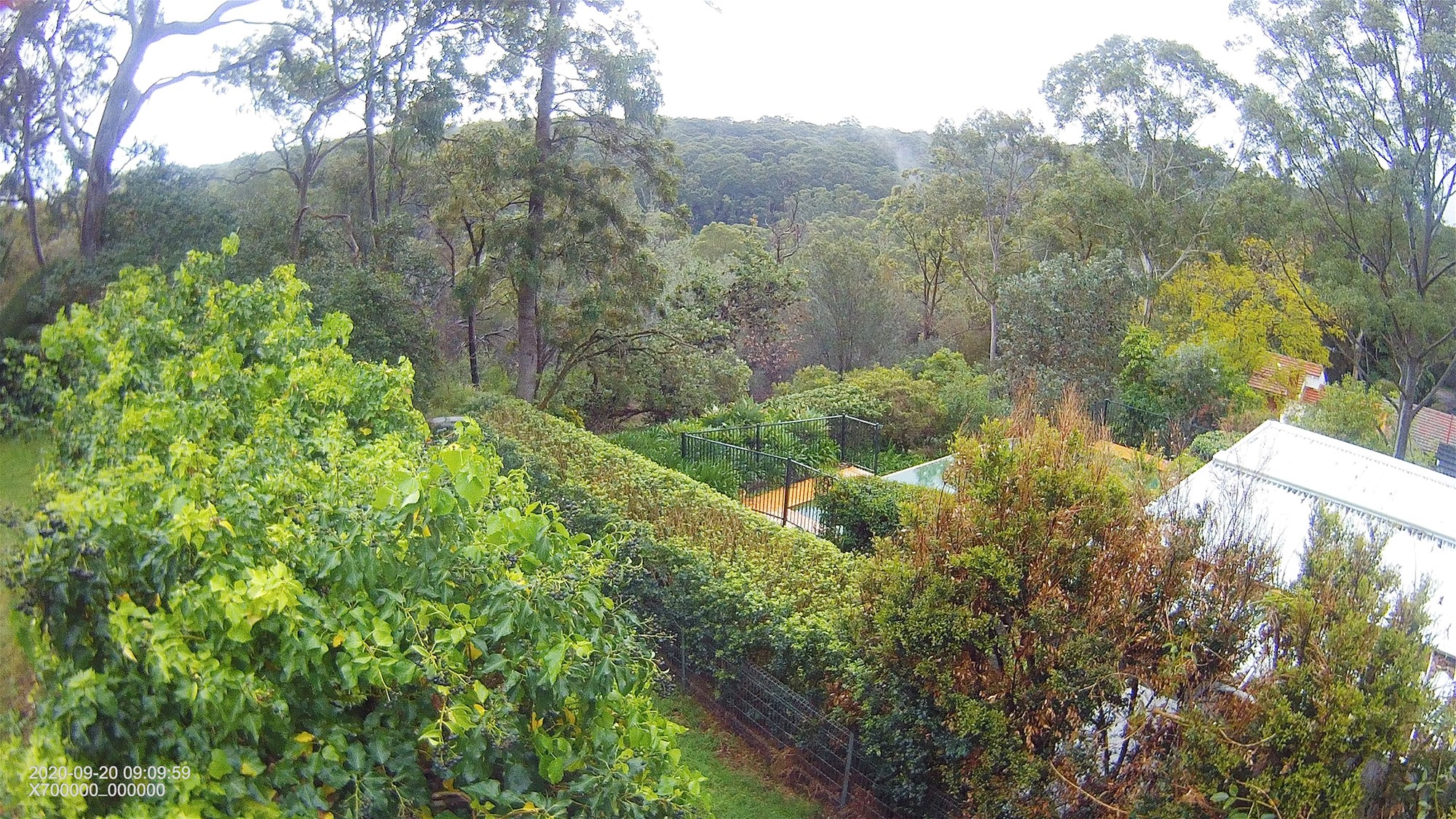 10 Braidwood Avenue, North Epping, NSW 2121 - Image 3