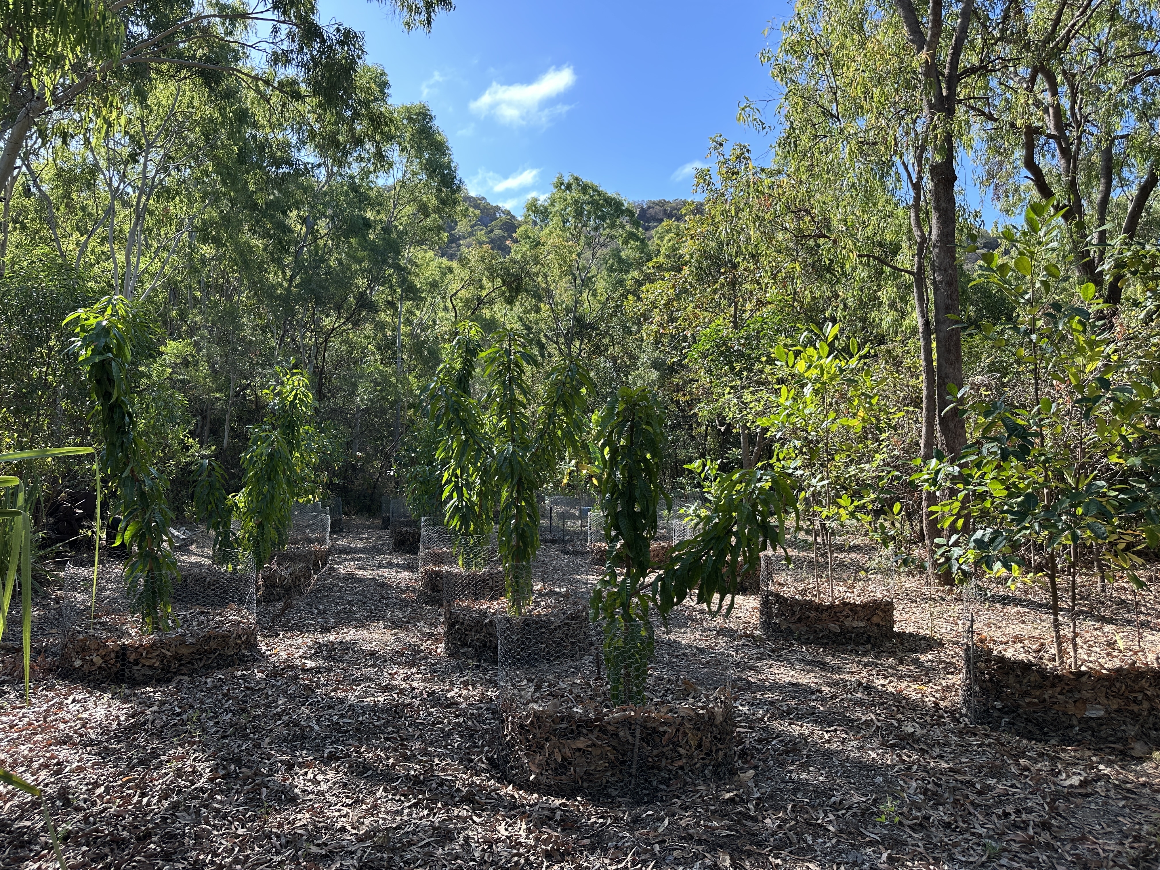 28 POLLARD STREET, Horseshoe Bay QLD 4819 - Image 8