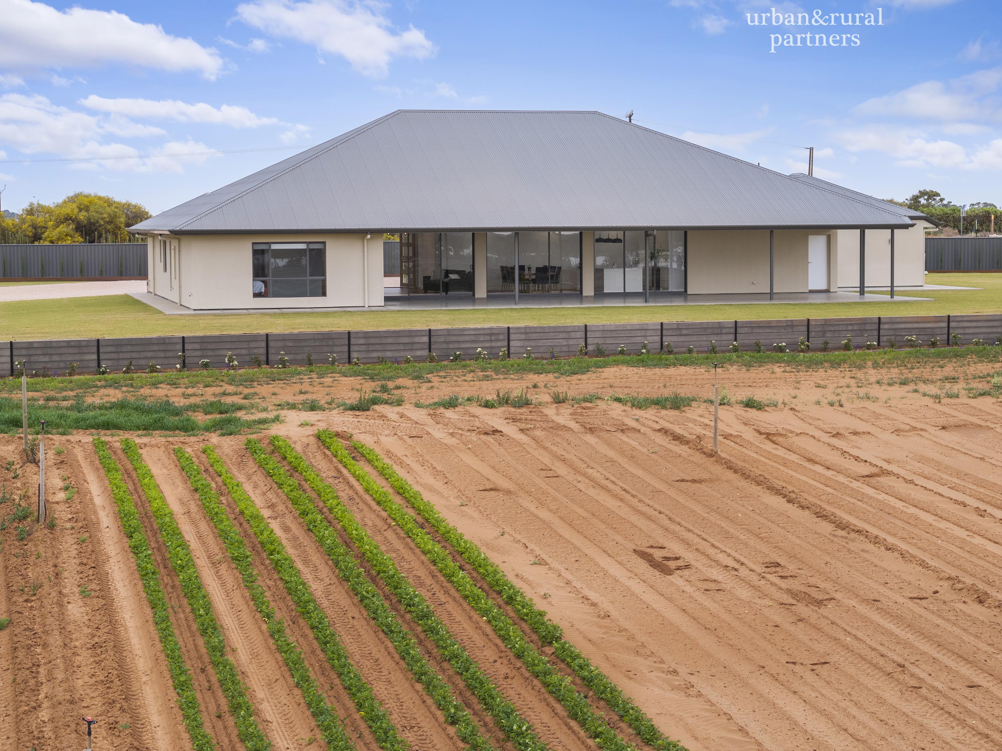 5-bedroom house at 123 Elephant Trunk Road, Cobdogla, SA 5346, Berri Barmera, South Australia
