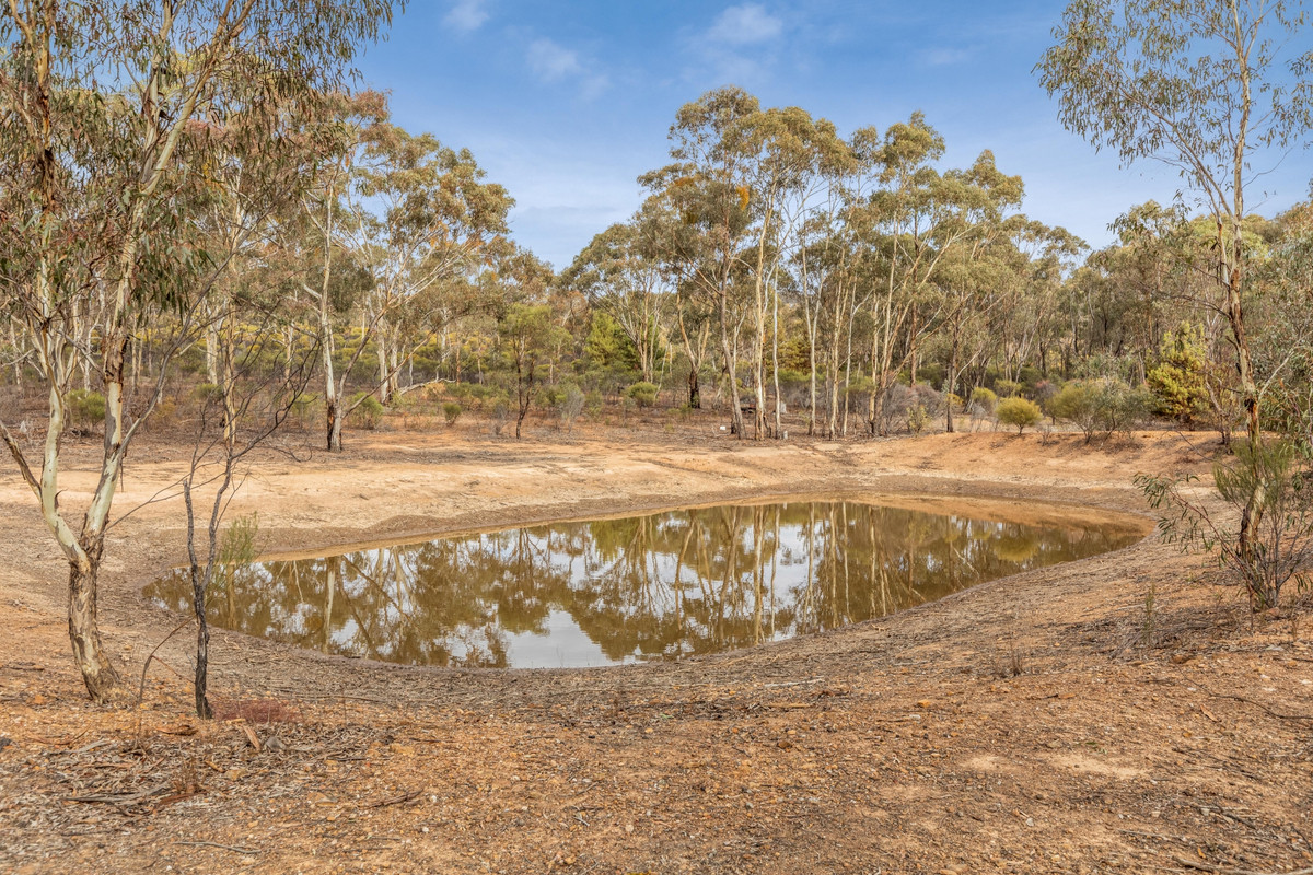 Sec 15 Mitchell Lane, Wedderburn, Vic, 3518 - Image 3