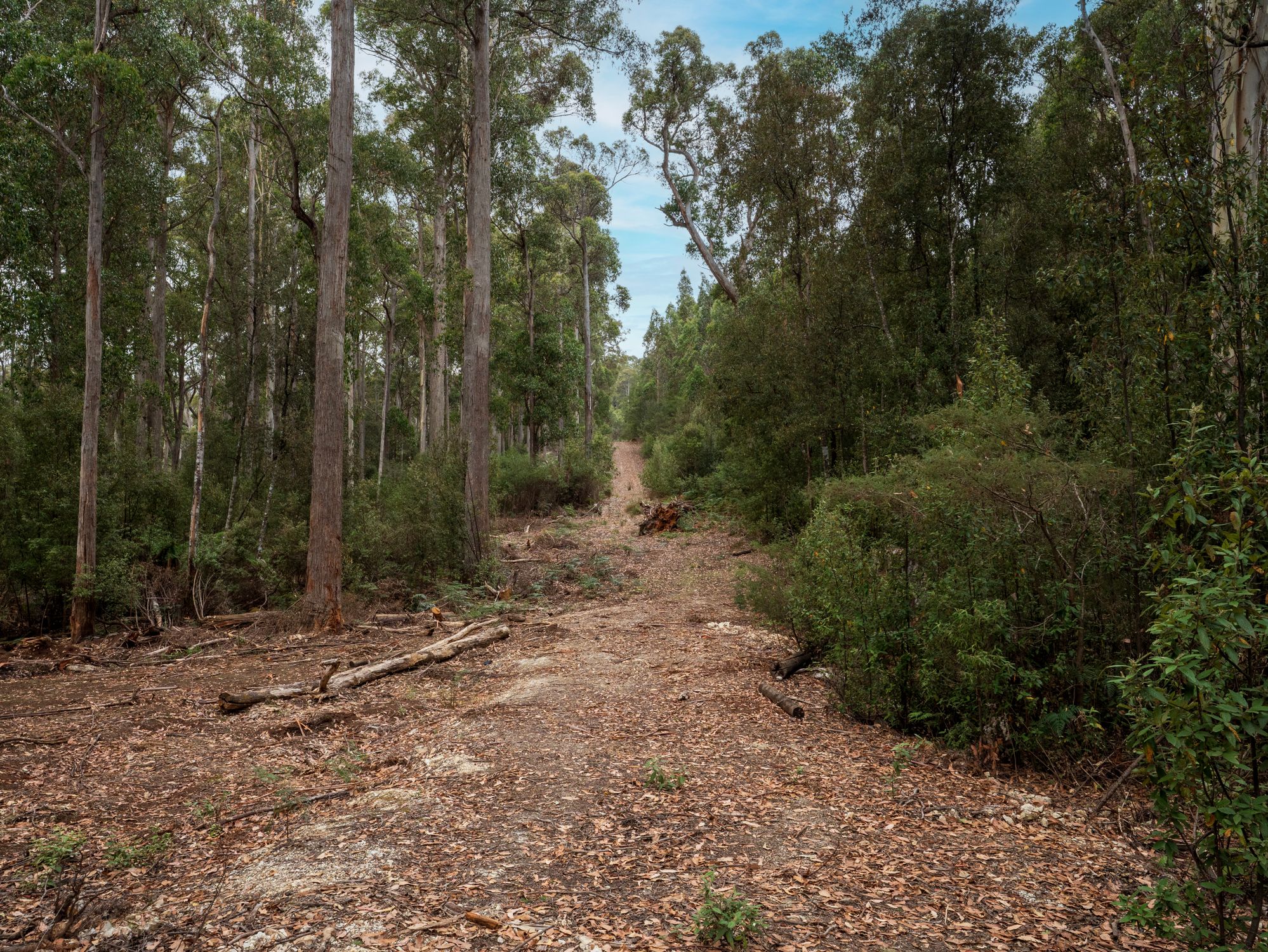 1-bedroom house at 167 LAKE BARRINGTON ROAD, Wilmot TAS 7310, Kentish, Tasmania