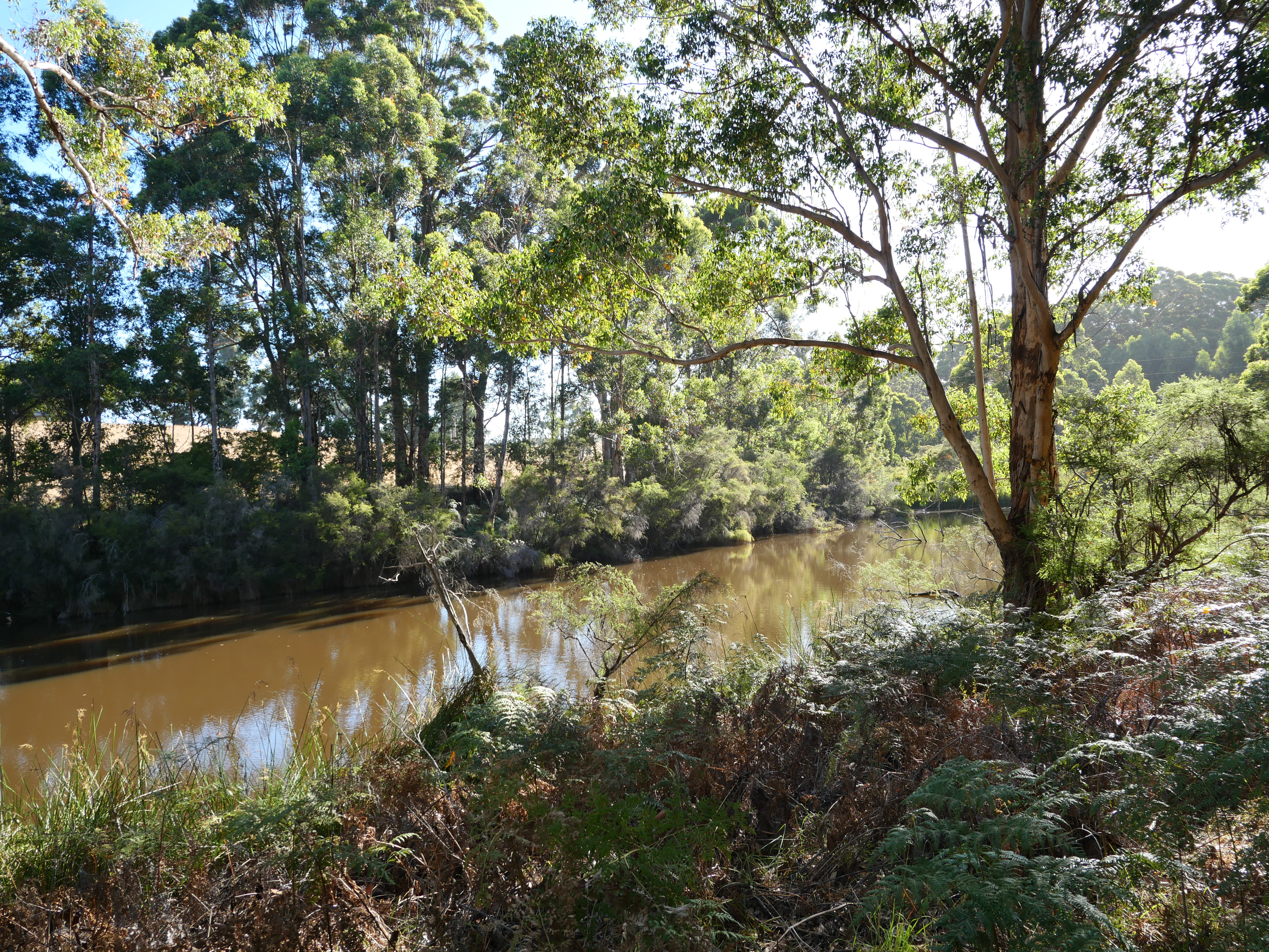 1-bedroom unit at 61 Hayes Road, East Nannup, WA 6275, Nannup, Western Australia