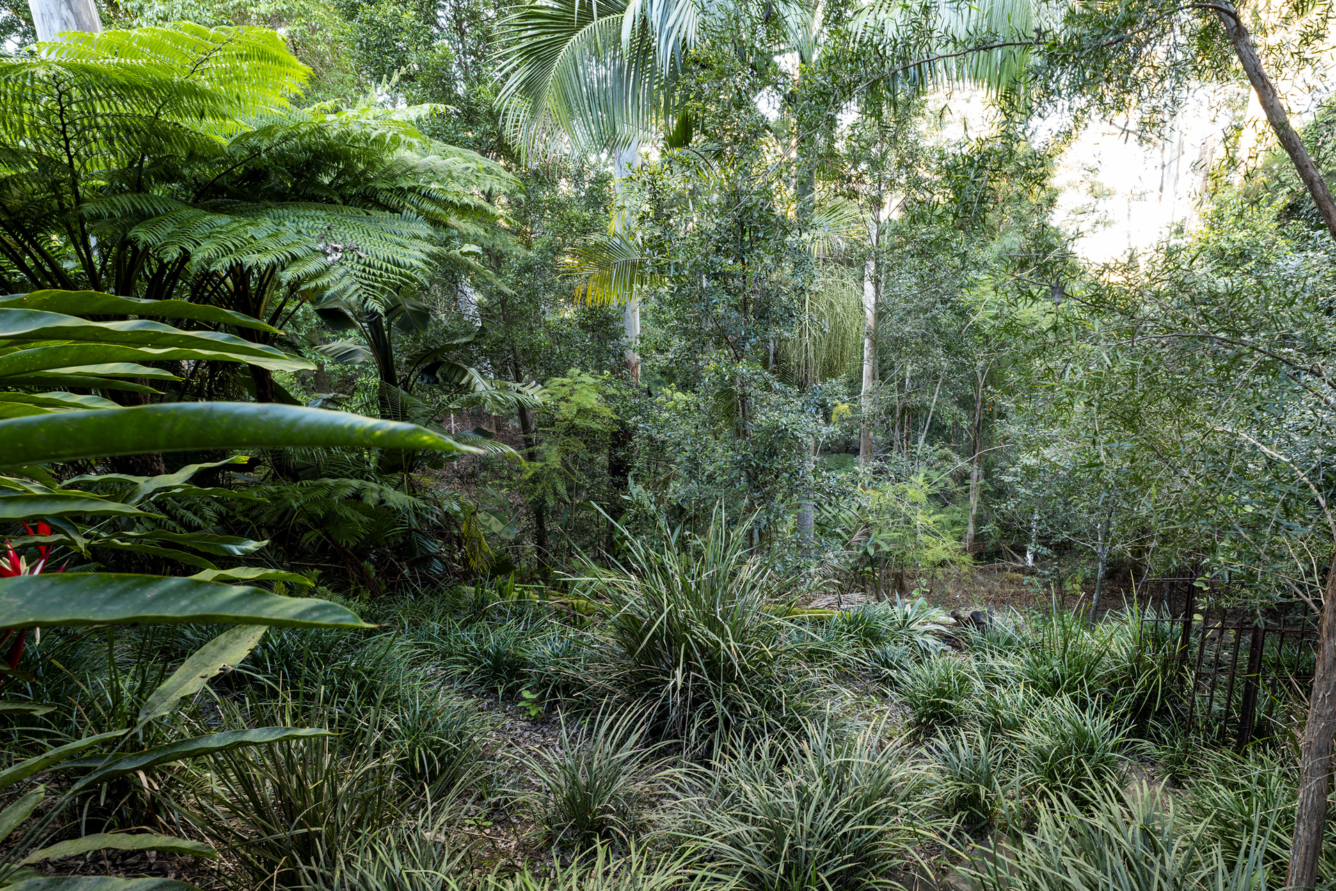 27 Endeavour Drive, Bellingen, NSW 2454 - Image 9