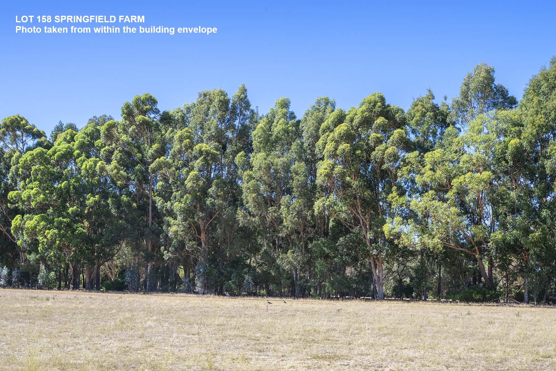 158 Springfield Farm, Yallingup, Wa, 6282 - Image 3