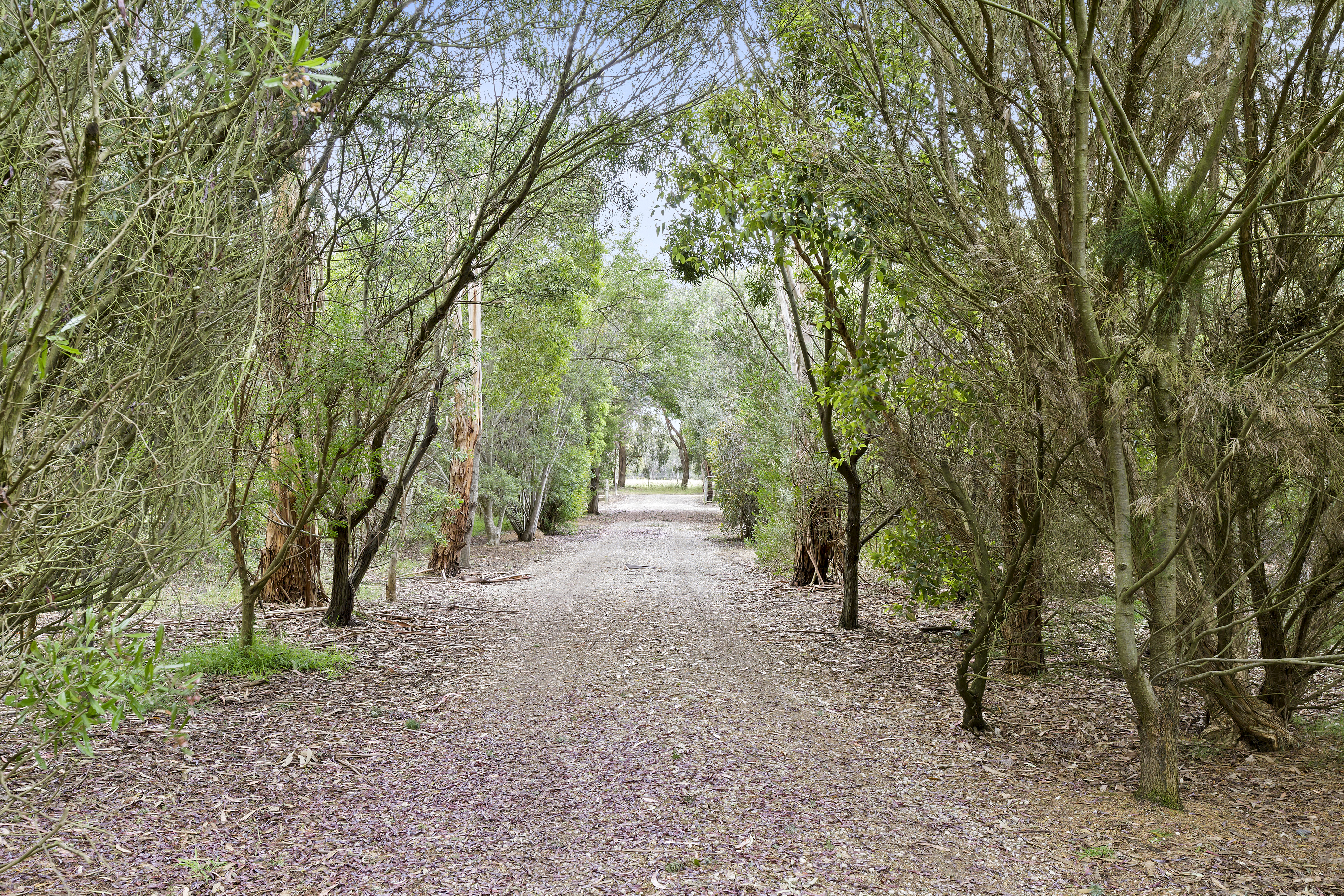 4-bedroom house at 545 Dangers Road, Gherang, VIC 3240, Surf Coast, Victoria