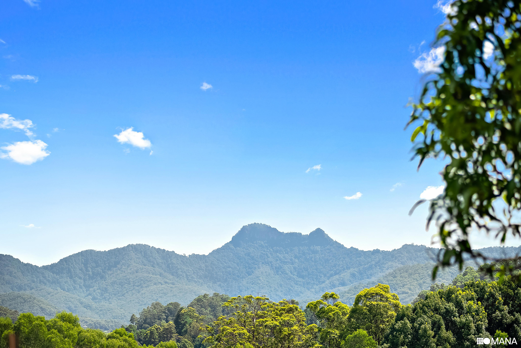 2-bedroom house at 345 CHILCOTTS ROAD, Chillingham NSW 2484, Tweed, New South Wales