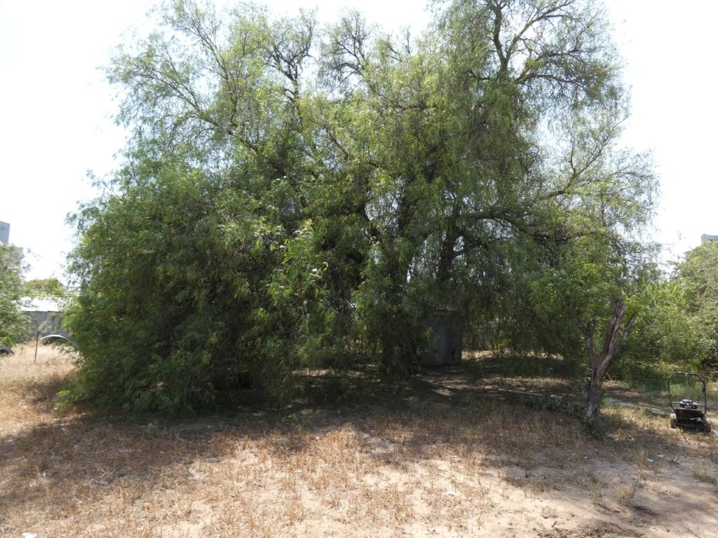 3-bedroom house at 59 Broadway, Jeparit, Vic, 3423, Hindmarsh, Victoria