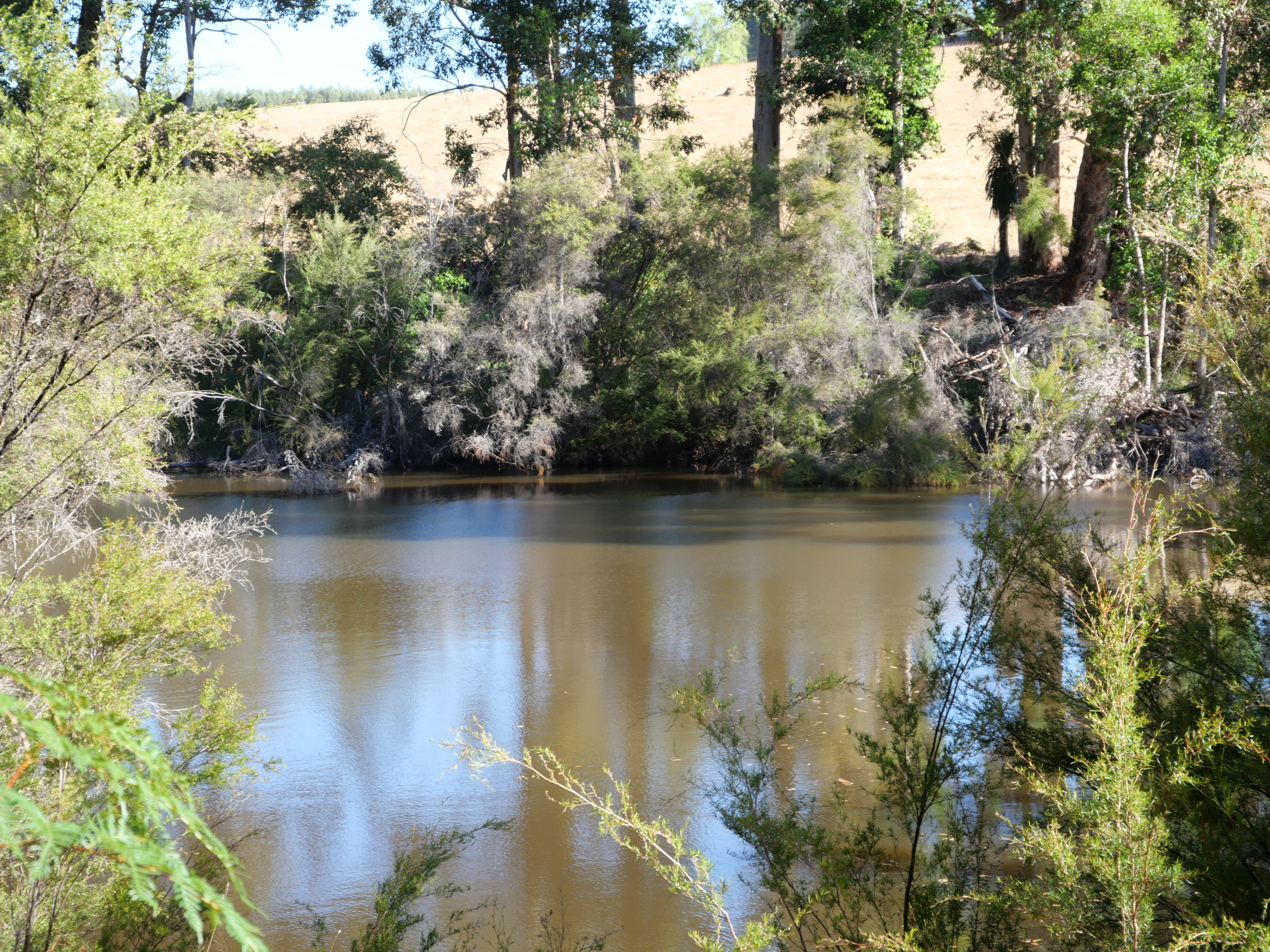 1-bedroom unit at 61 Hayes Road, East Nannup, WA 6275, Nannup, Western Australia