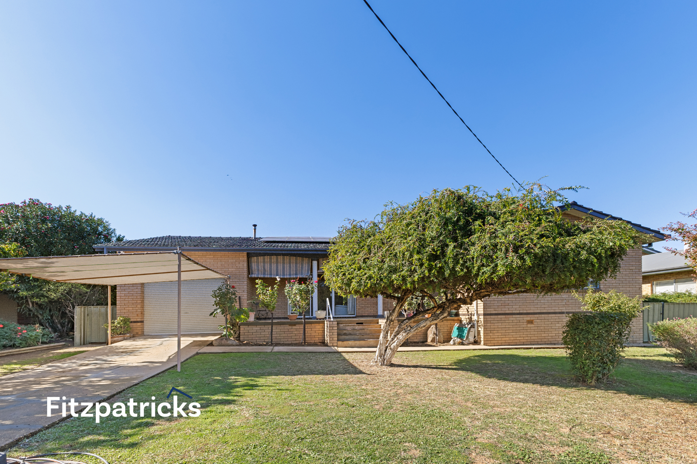 41 Kilpatrick Street, Kooringal, NSW 2650 - Image 1