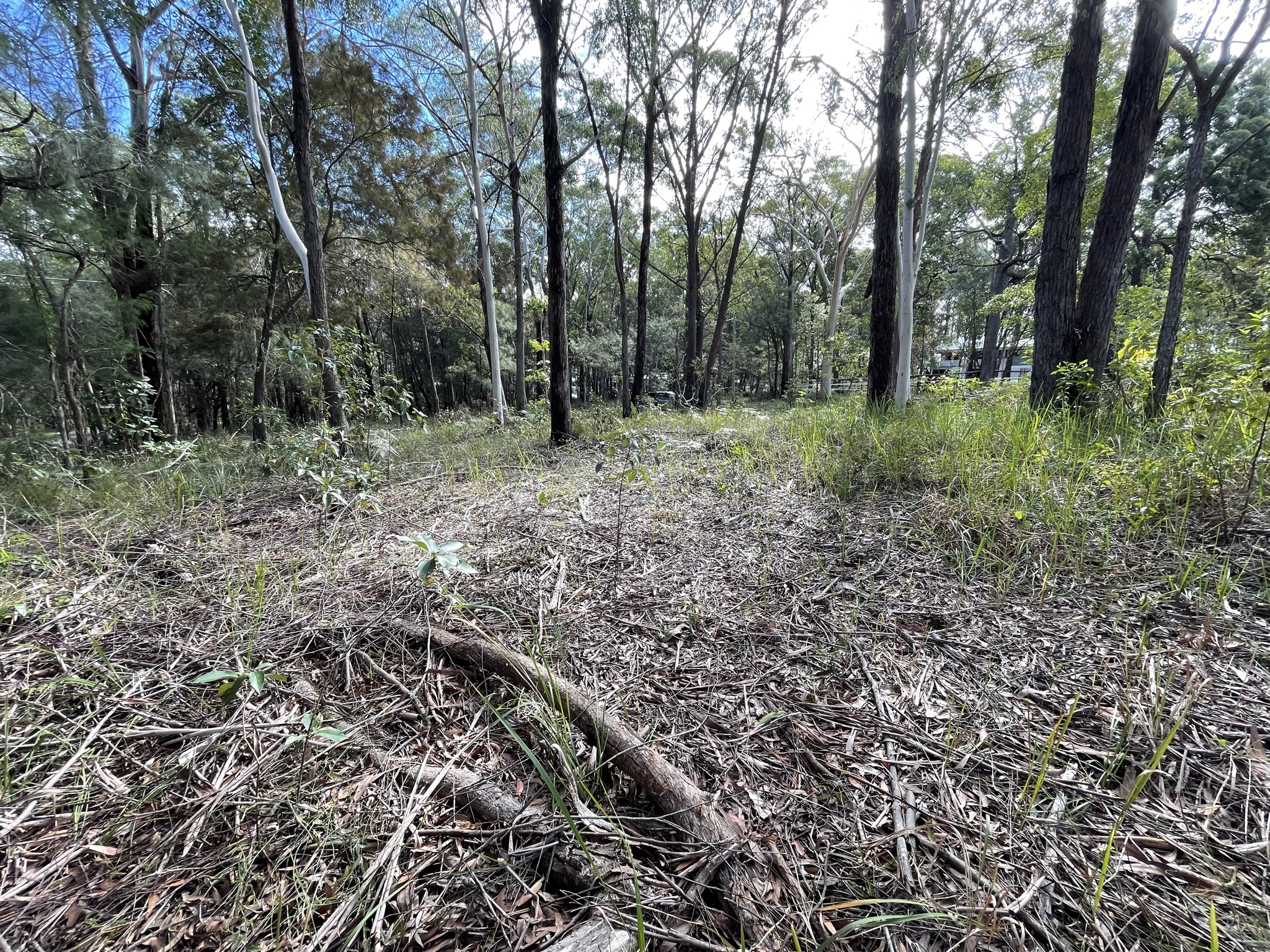 2 Canopy Crescent, Russell Island, Qld, 4184 - Image 9