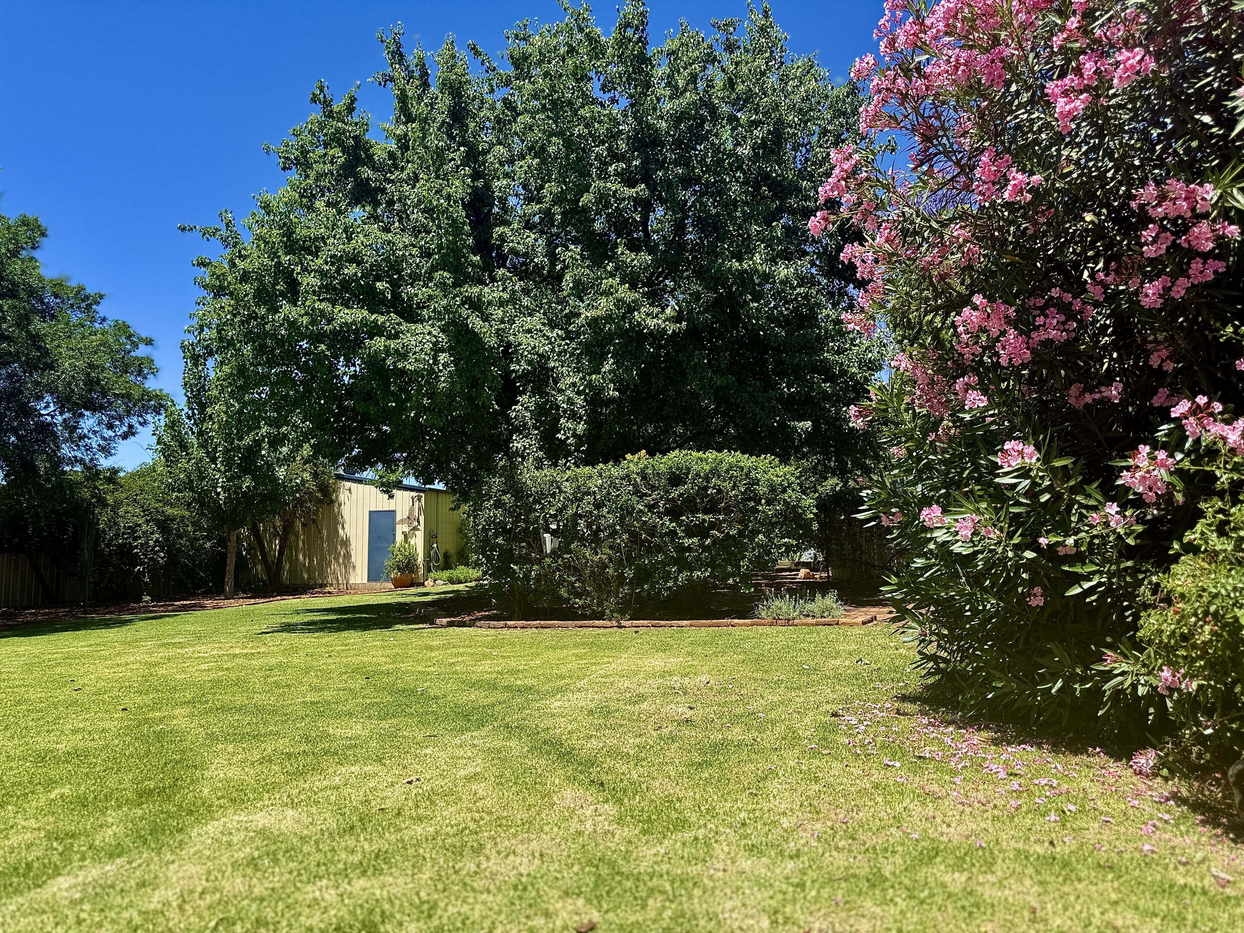 3-bedroom house at 178 BATHURST STREET, Condobolin NSW 2877, Lachlan, New South Wales