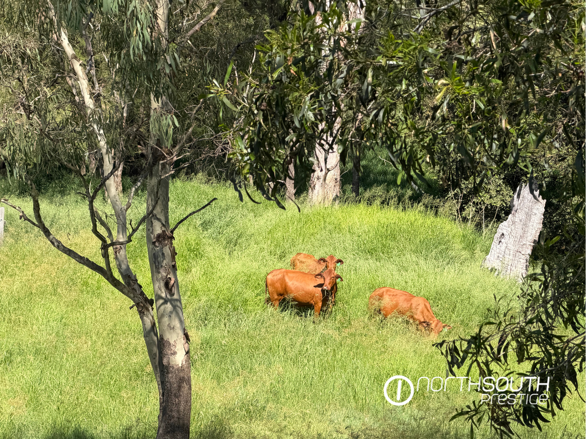 4-bedroom house at 176 Spring Creek Road, Running Creek, QLD 4287, Scenic Rim, Queensland
