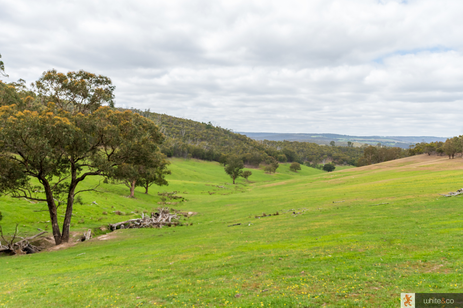 200 Dalls Road, Whittlesea, Vic, 3757 - Image 1