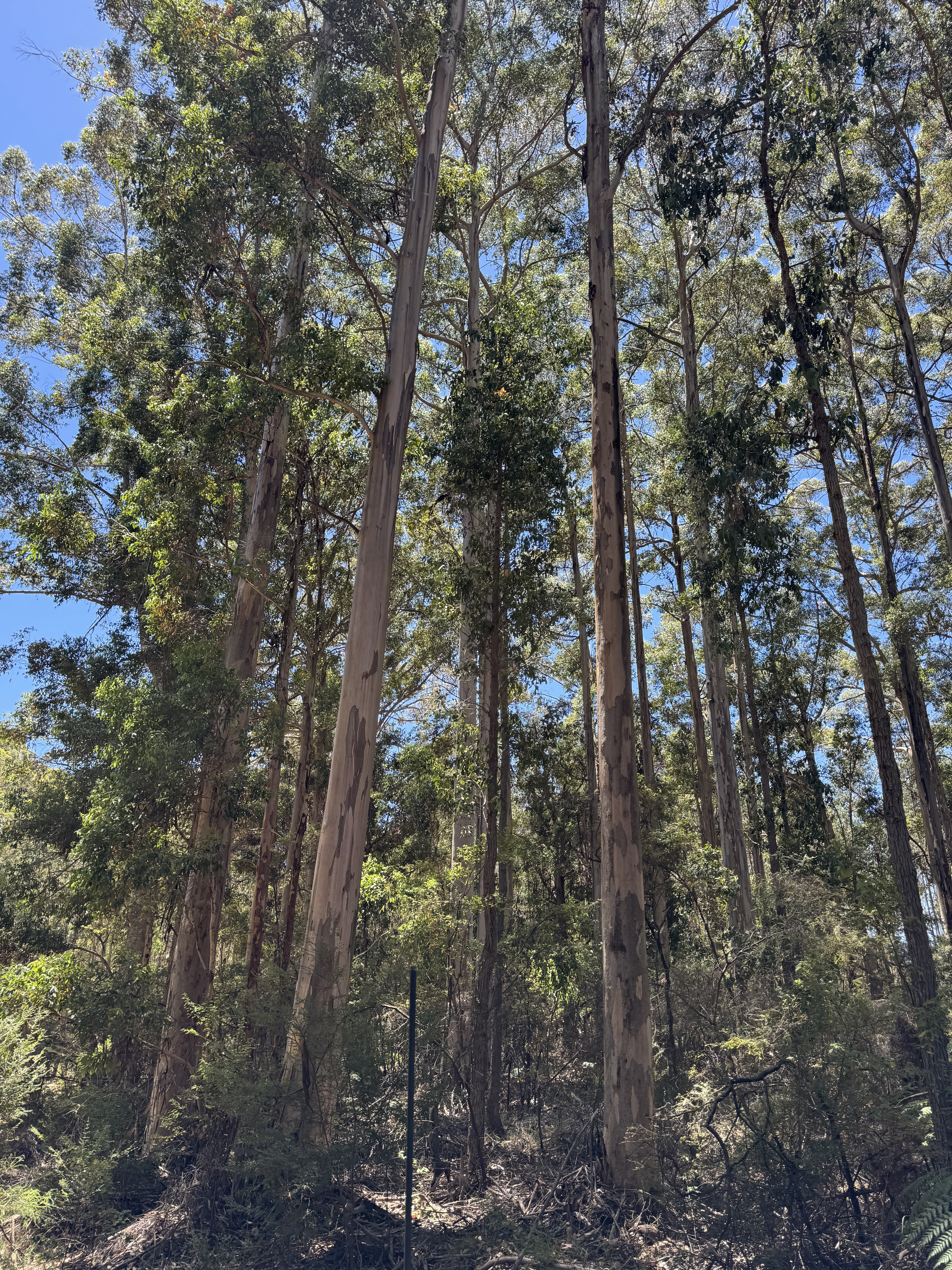 1-bedroom unit at 61 Hayes Road, East Nannup, WA 6275, Nannup, Western Australia