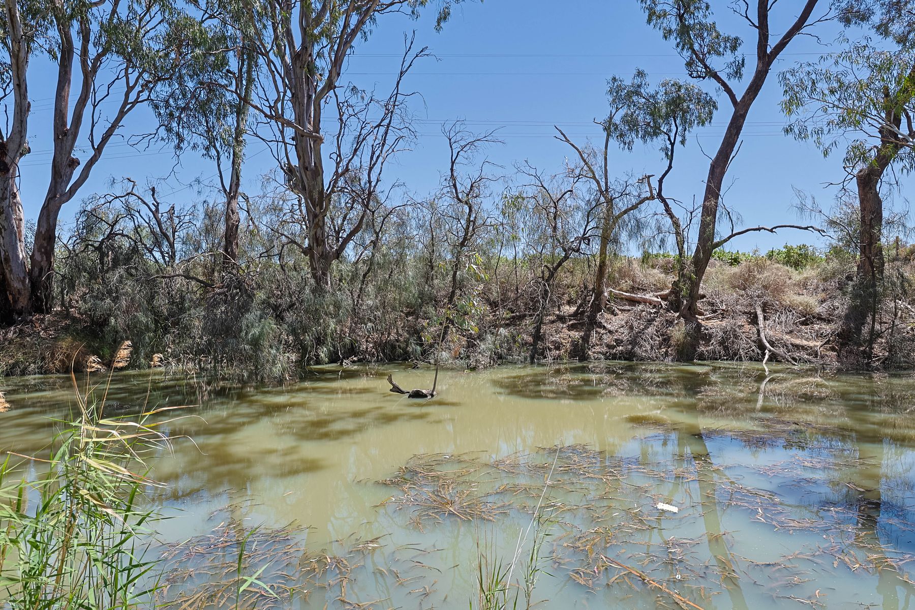 4-bedroom house at 31 MODIKERR WAY, Gol Gol NSW 2738, Wentworth, New South Wales