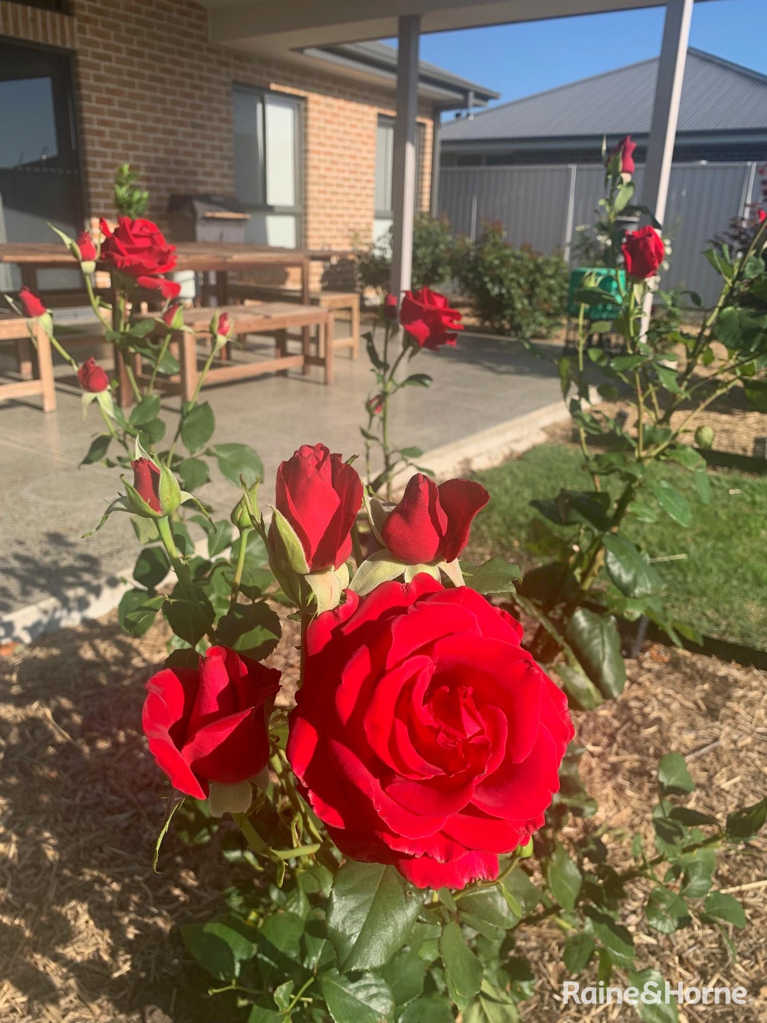 4-bedroom house at 11 Willott Close, Eglinton, NSW 2795, Bathurst, New South Wales