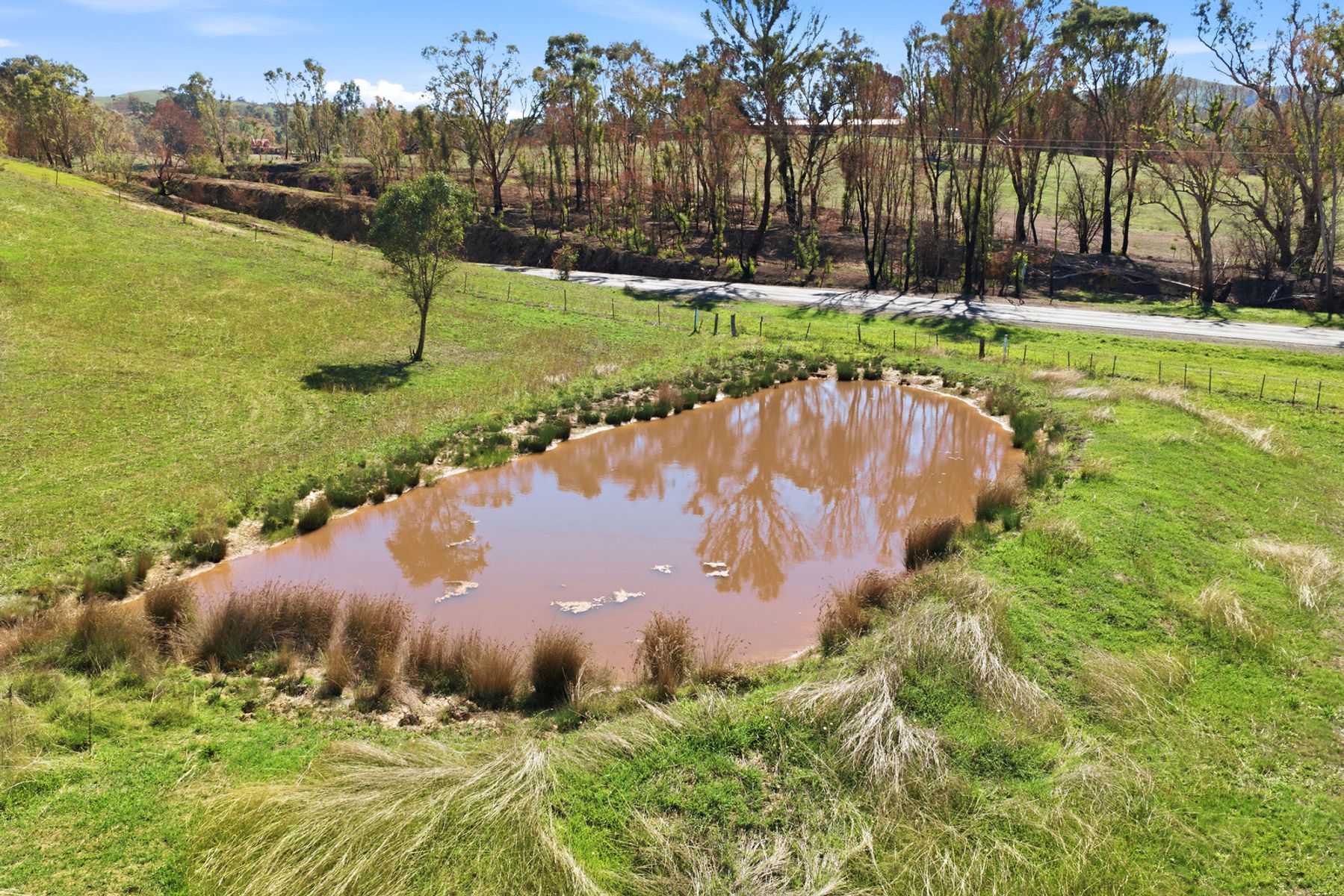 5393 MAROONDAH HIGHWAY, Alexandra VIC 3714 - Image 10