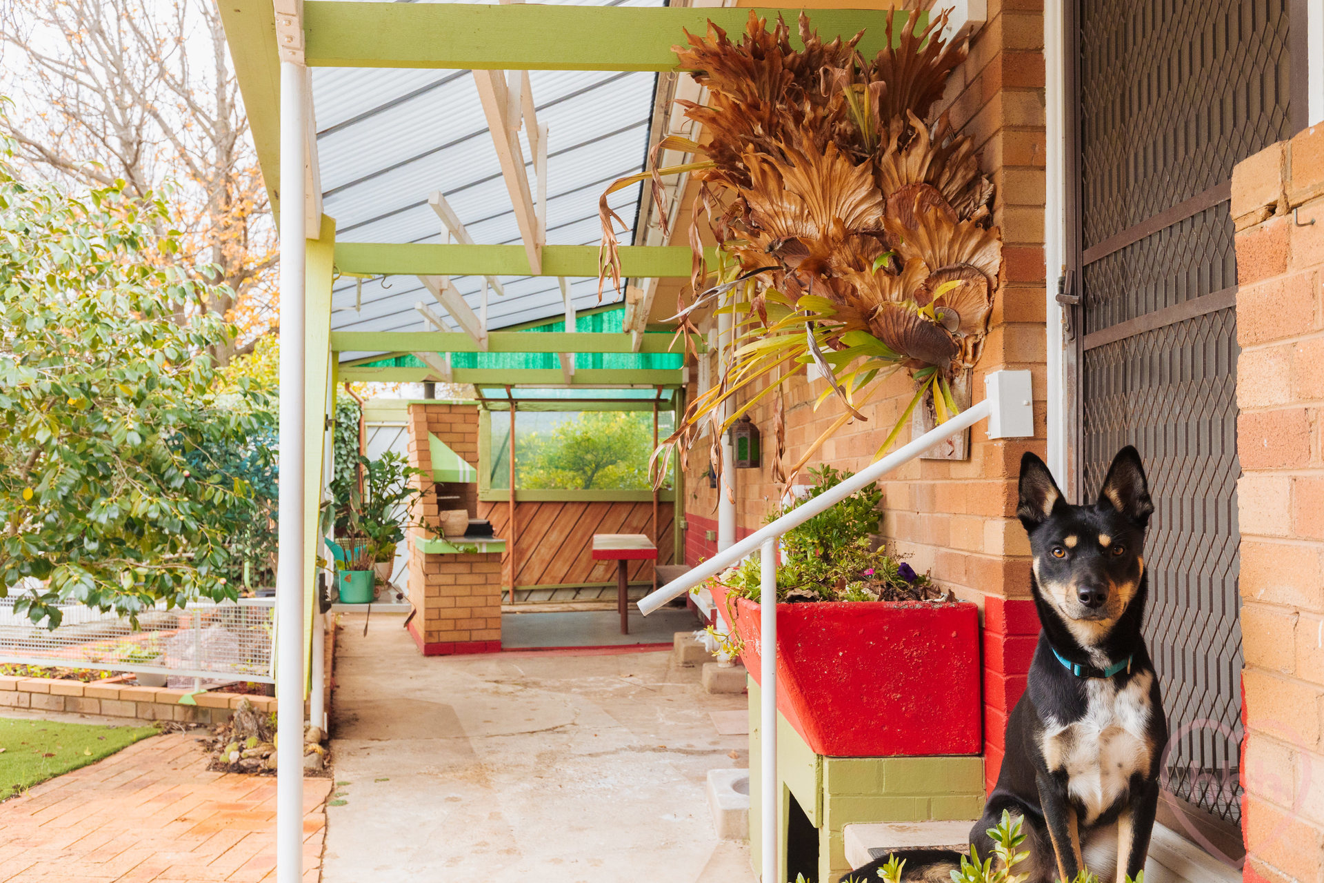 3-bedroom house at 27 Marsden Street, Dickson, ACT 2602, Unincorporated Act, Australian Capital Territory