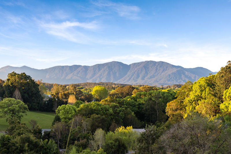 1c Evans St, Bellingen, Nsw, 2454 - Image 7