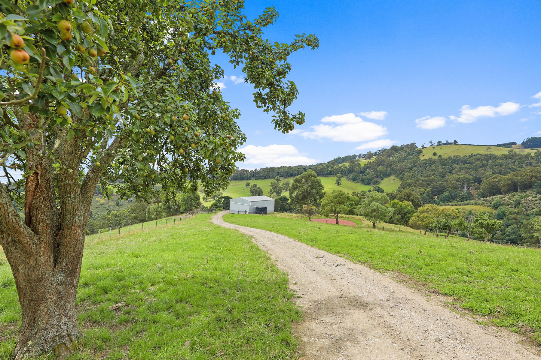 4-bedroom house at 244 Mirboo North-Trafalgar Road, Trafalgar South, VIC 3824, Baw Baw, Victoria