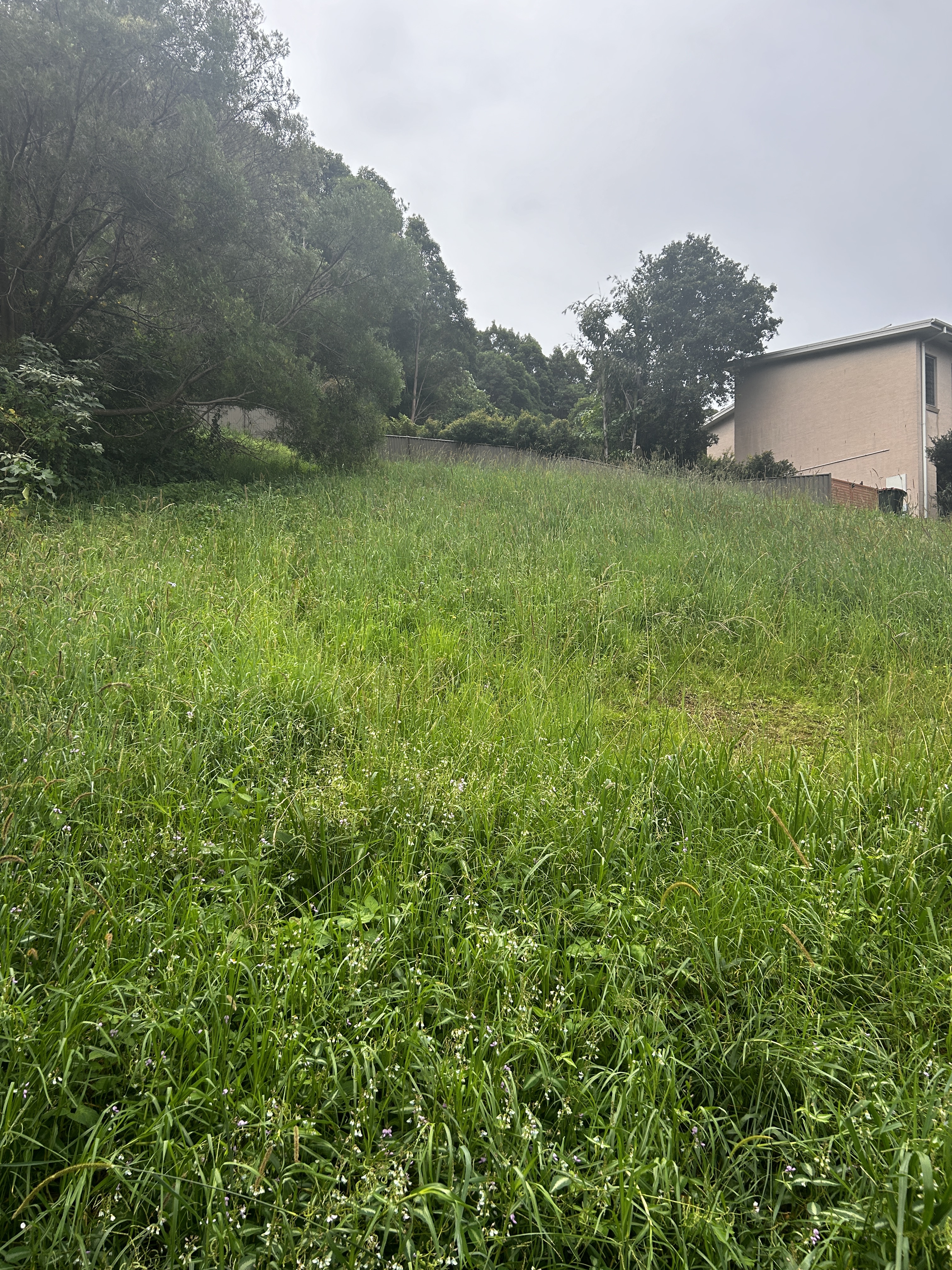 8 Gallagher Place, Coffs Harbour, NSW 2450 - Image 3