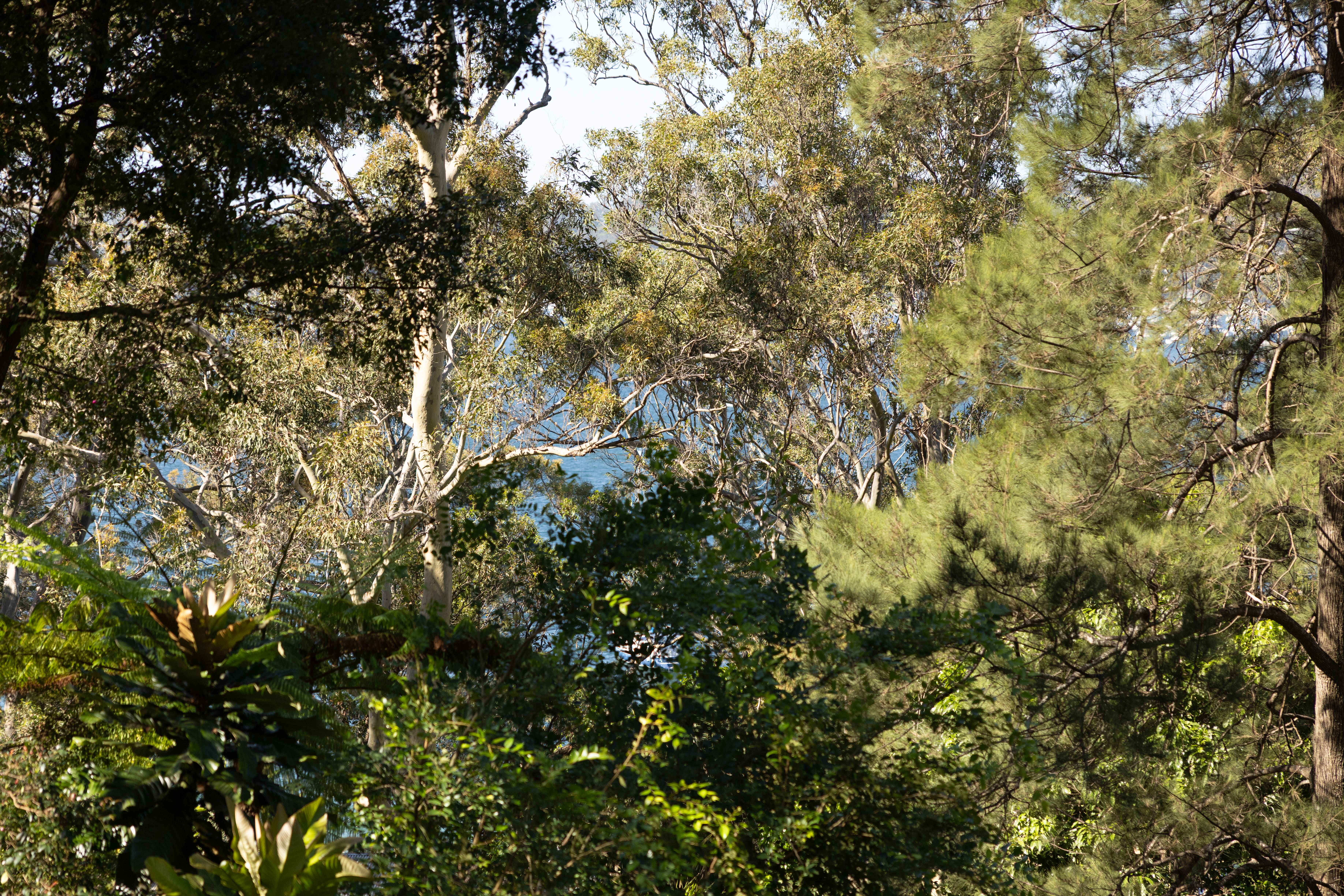 4-bedroom house at 15 THOMPSON STREET, Scotland Island NSW 2105, Northern Beaches, New South Wales