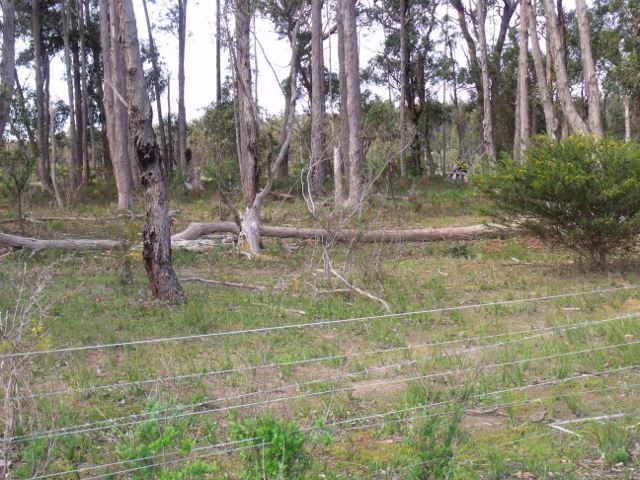 612 Old Rosedale Road, Woodside, Vic, 3874 - Image 6
