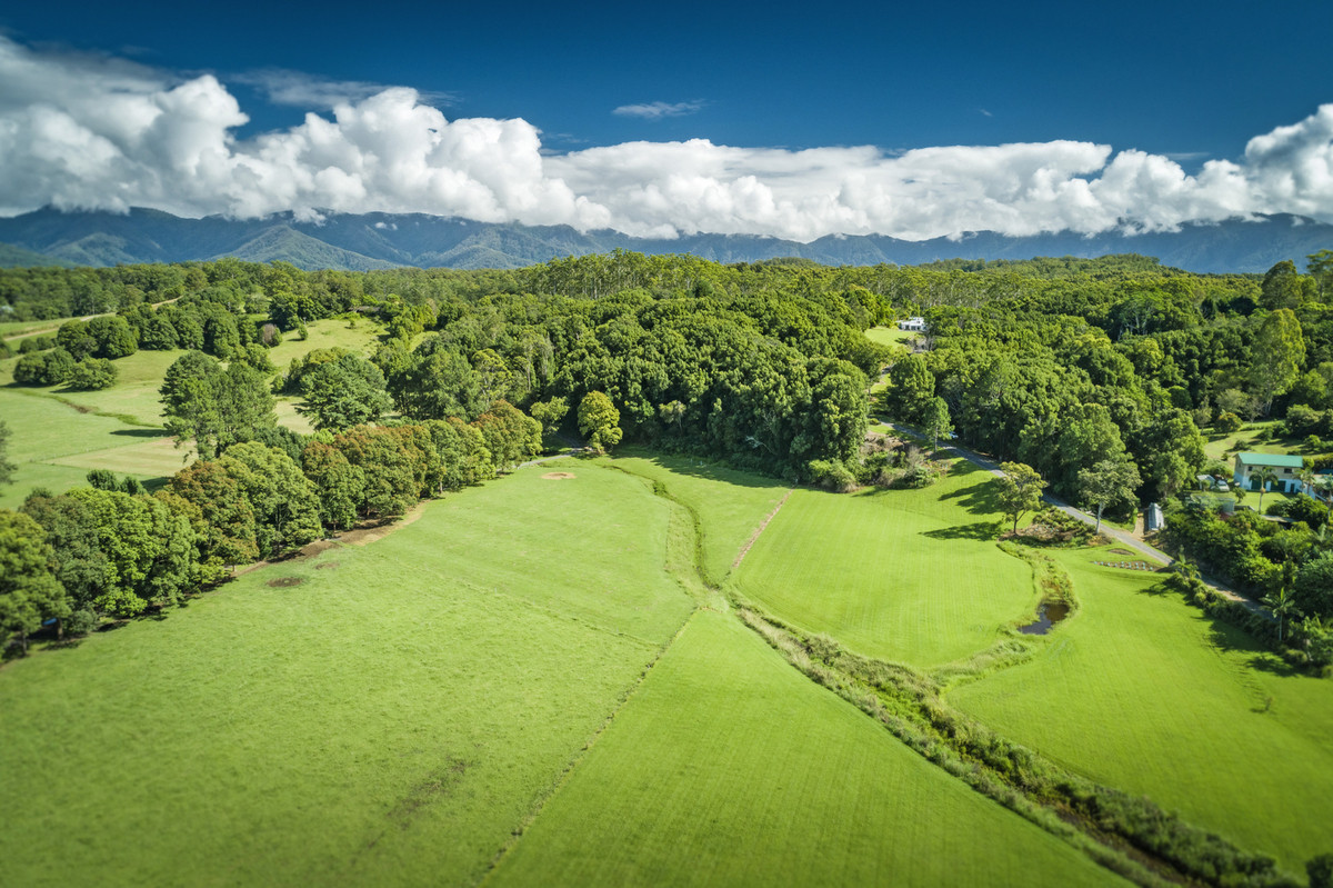 88 Gleniffer Road, Bellingen, Nsw, 2454 - Image 3