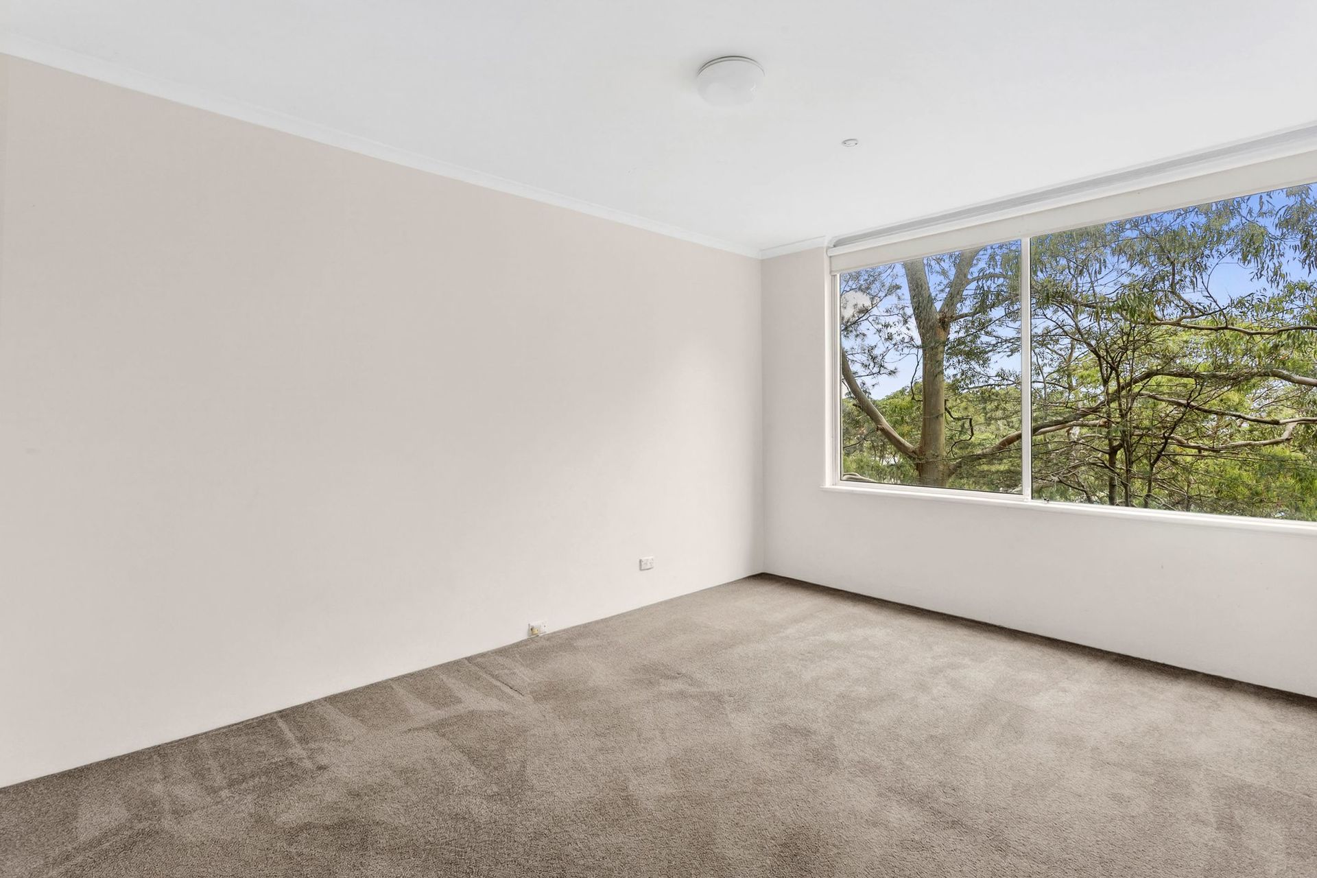 2-bedroom unit at 303 5 JERSEY ROAD, ARTARMON NSW 2064, Willoughby, New South Wales
