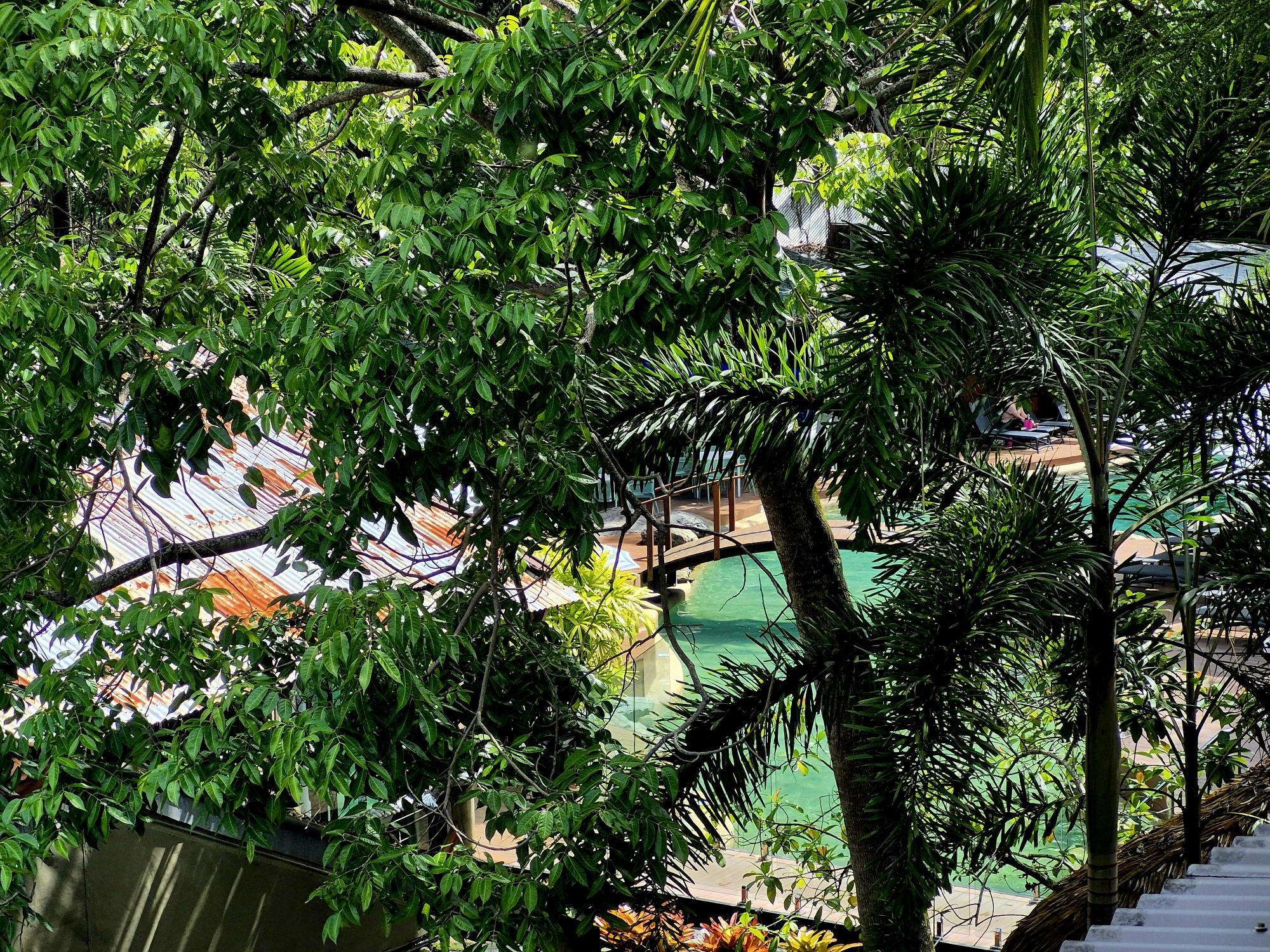 Treetops Port Douglas 316 Port Douglas Road, Port Douglas QLD 4877 - Image 10