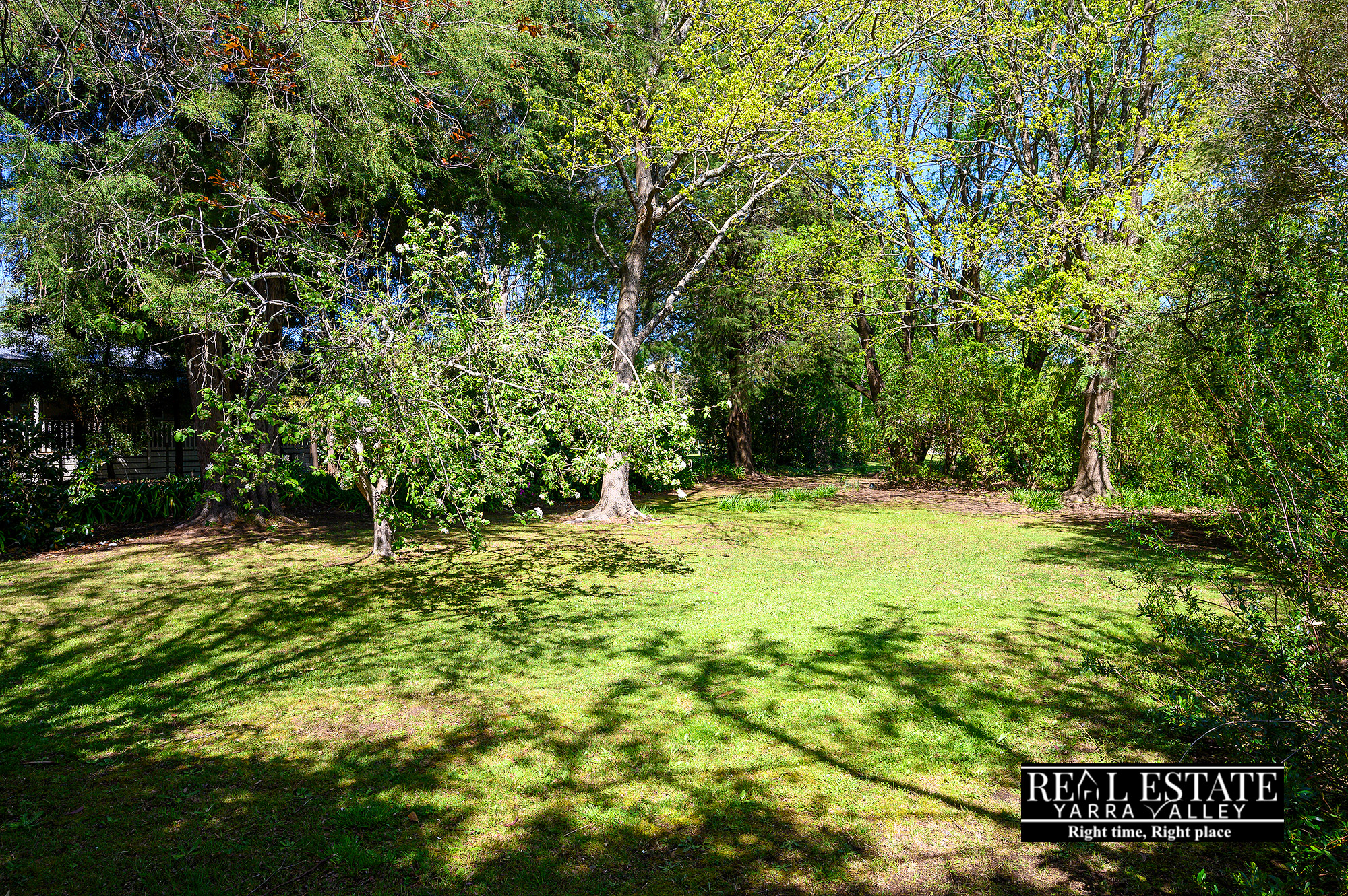 4-bedroom house at 29 Mareeba Avenue, Buxton, VIC 3711, Murrindindi, Victoria