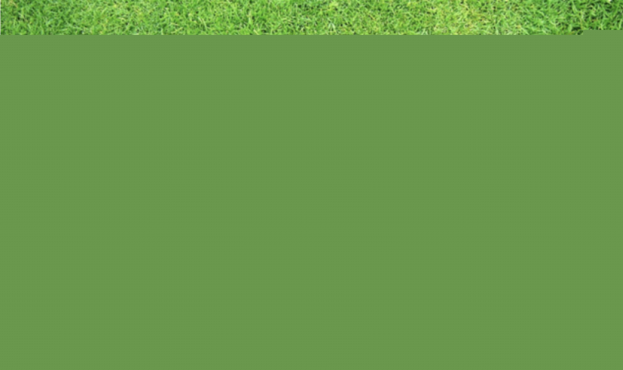 43 Wattle Crescent, Beaconsfield, VIC 3807 - Image 1