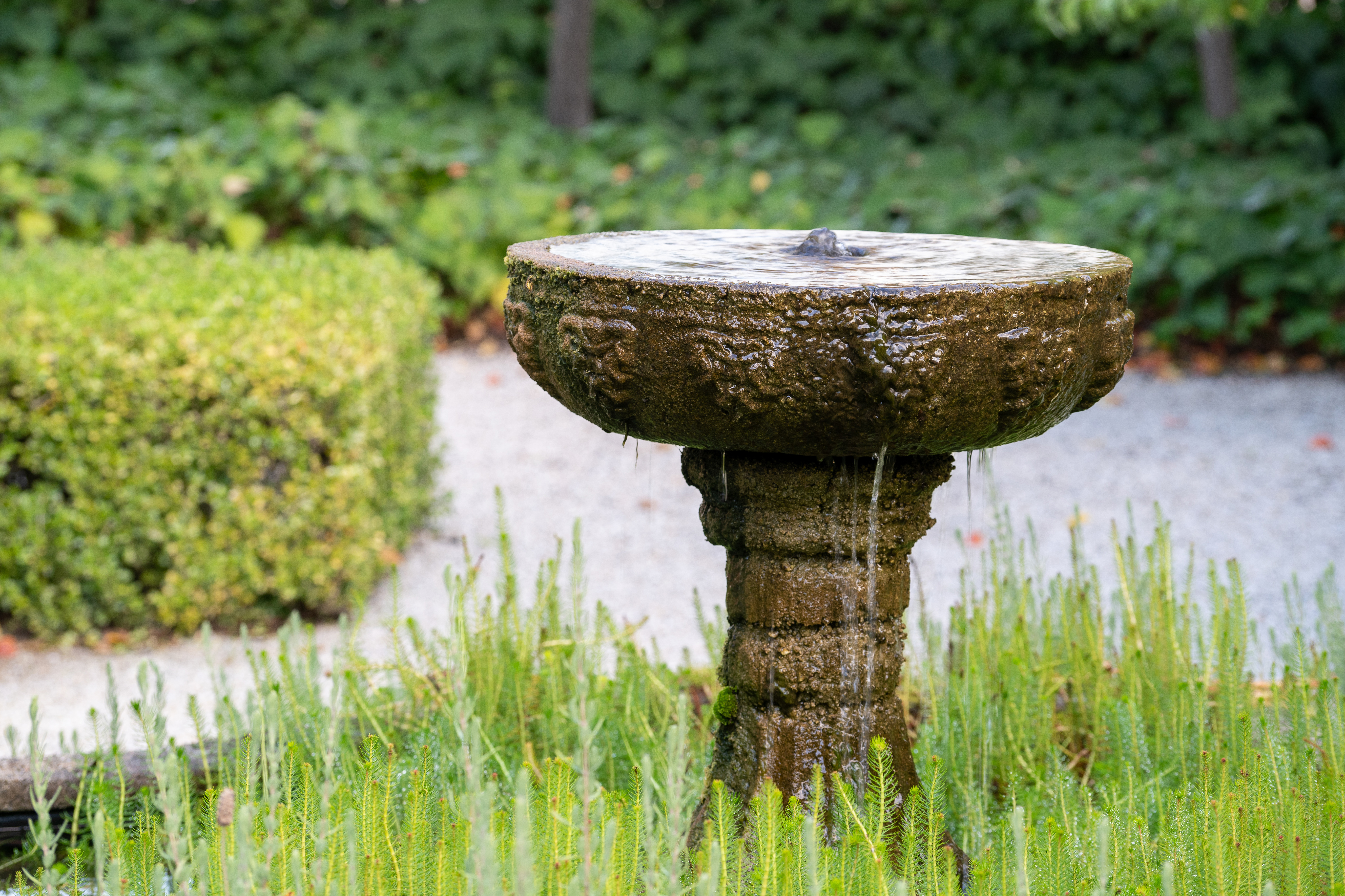 3-bedroom house at 39 Hawkins Street, Howlong, NSW 2643, Federation, New South Wales