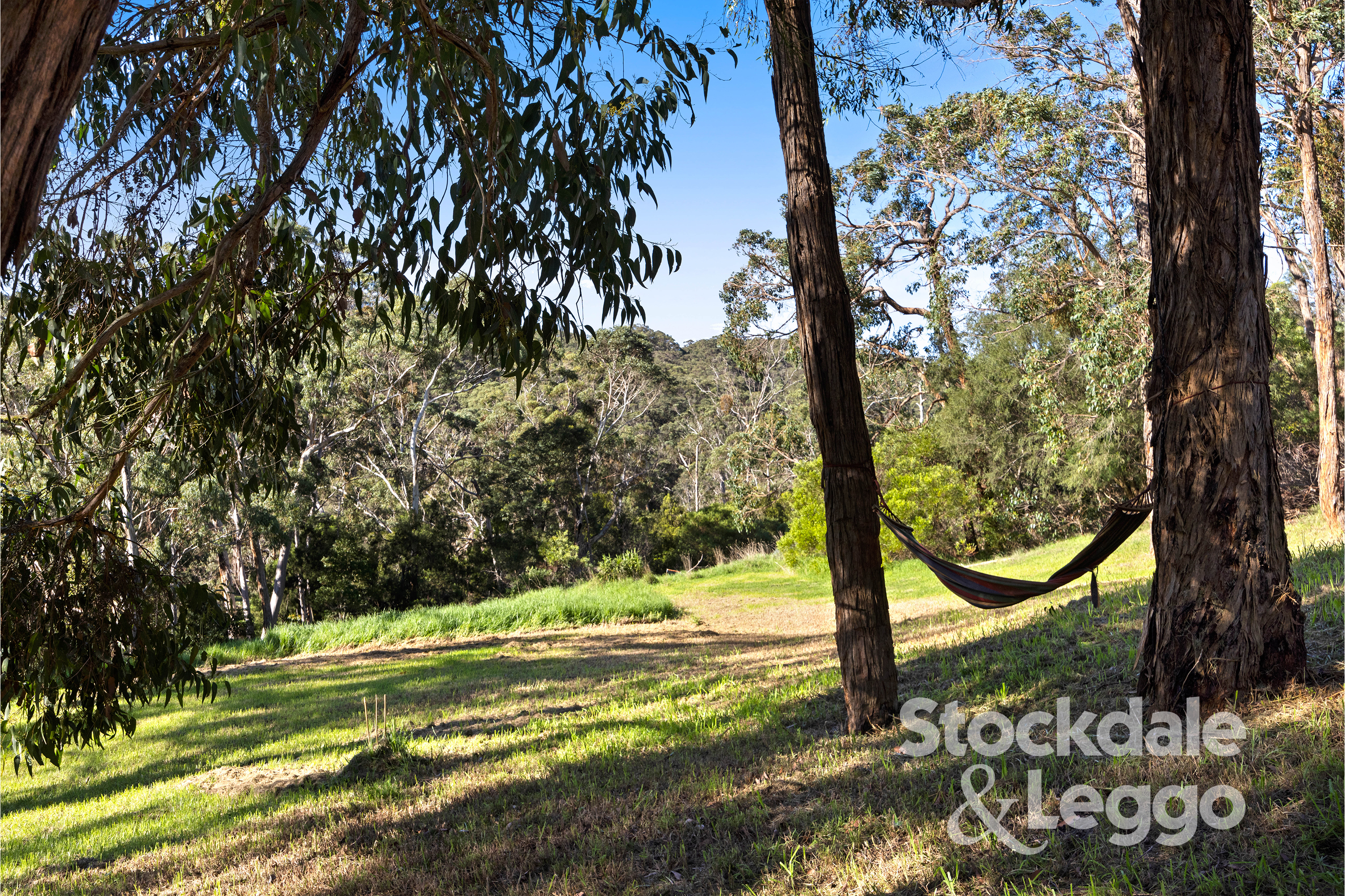 5-bedroom house at 500 DUNNS CREEK ROAD, Red Hill VIC 3937, Mornington Peninsula, Victoria