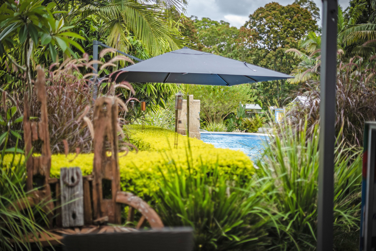 88 Gleniffer Road, Bellingen, Nsw, 2454 - Image 4