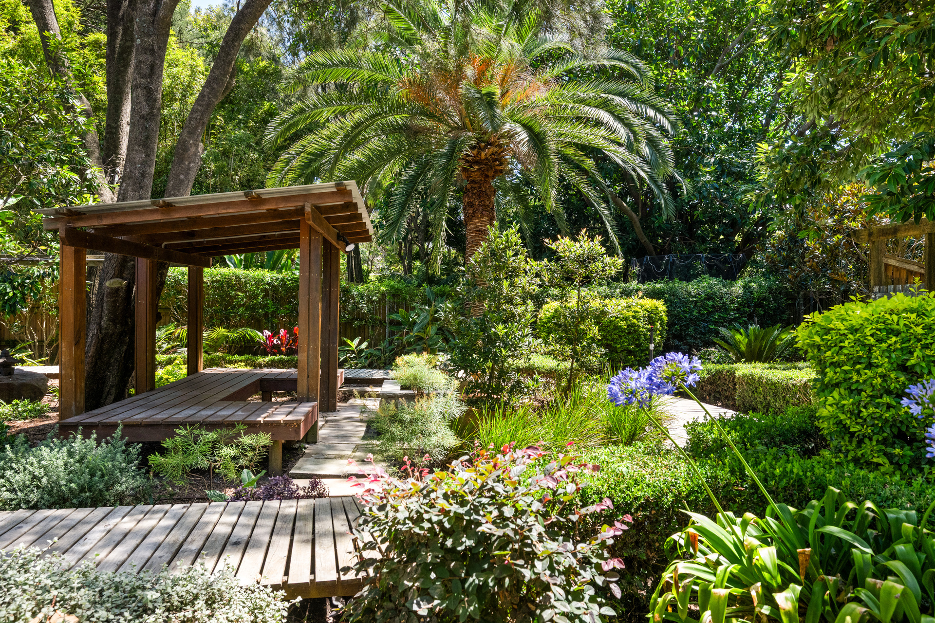 31 Elaine Avenue, Avalon Beach, NSW 2107 - Image 5