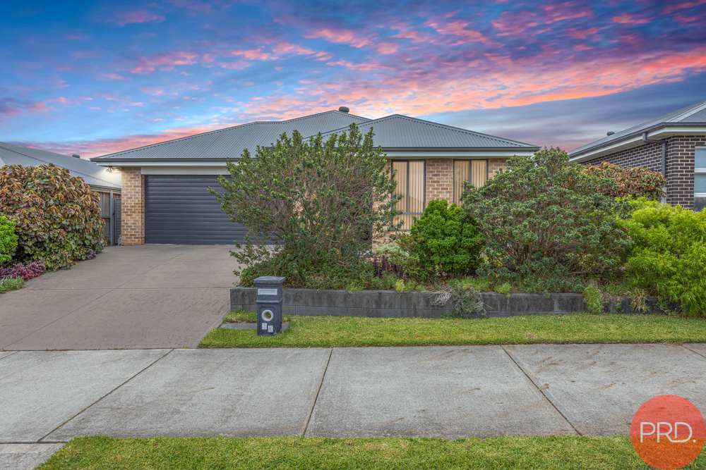 65 Dragonfly Drive, Chisholm, Nsw, 2322 - Image 1