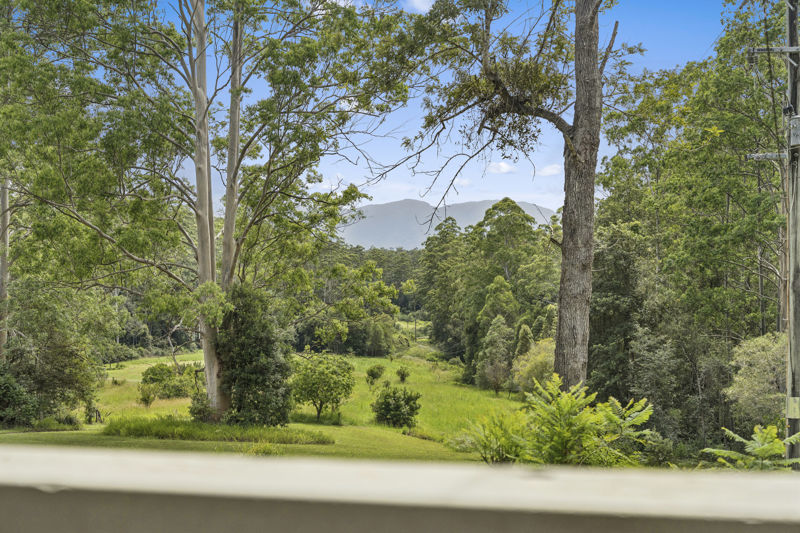 121 Boggy Creek Road, Bellingen, NSW 2454 - Image 2