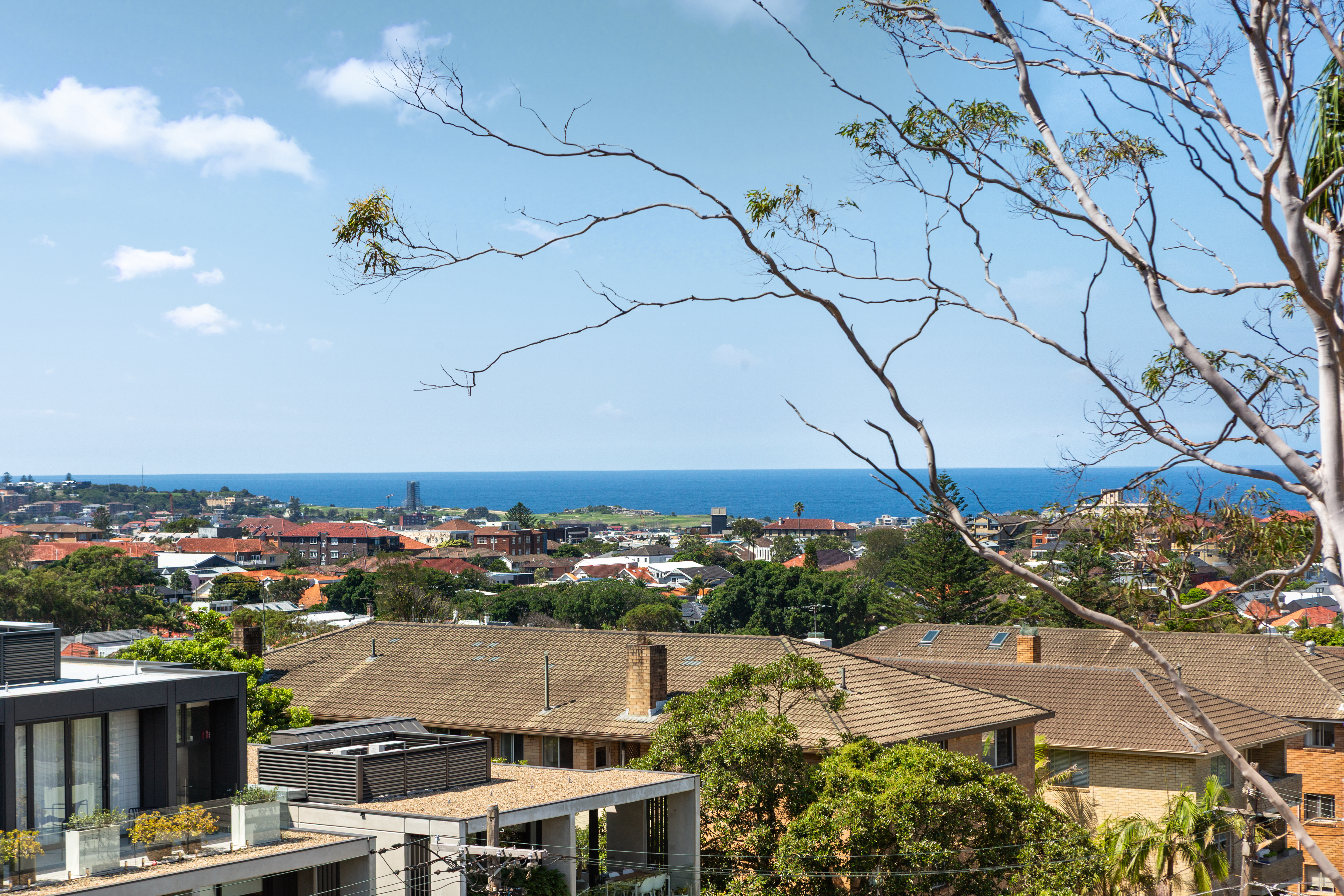 5/203 Birrell Street, Waverley, NSW 2024 - Image 3