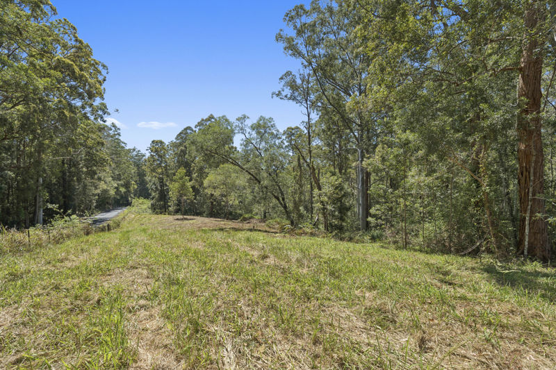 772 Gleniffer Road, Bellingen, Nsw, 2454 - Image 7